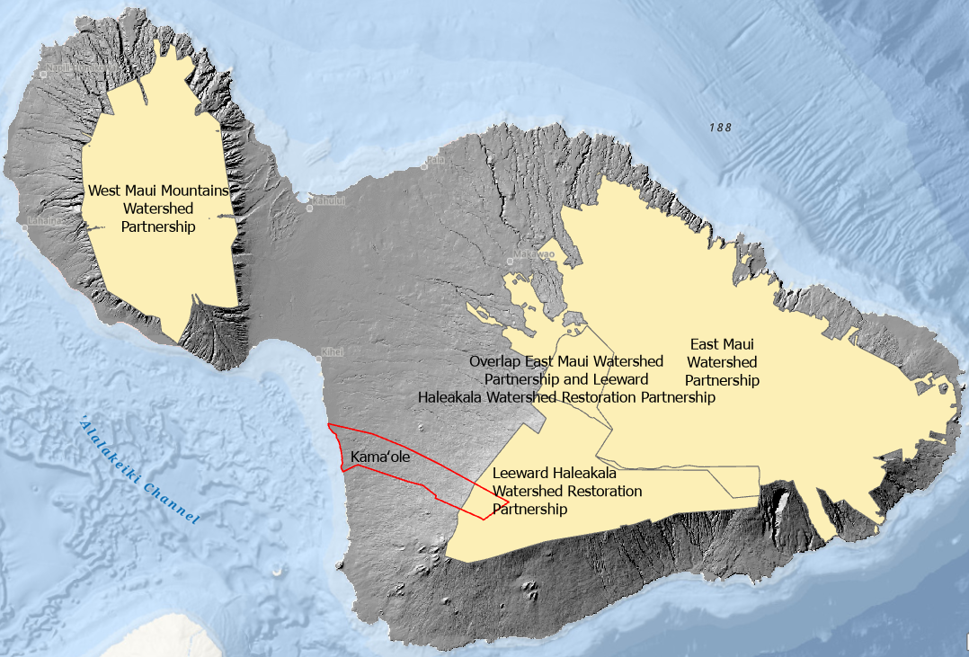 Screenshot 2026-04-10 174707.png