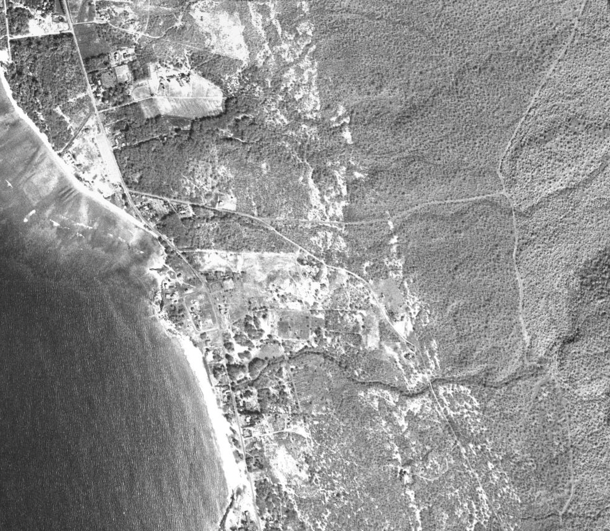 Aerial black-and-white photograph of a coastal area with a shoreline on the left, a large body of water, and forested land with roads and scattered buildings.