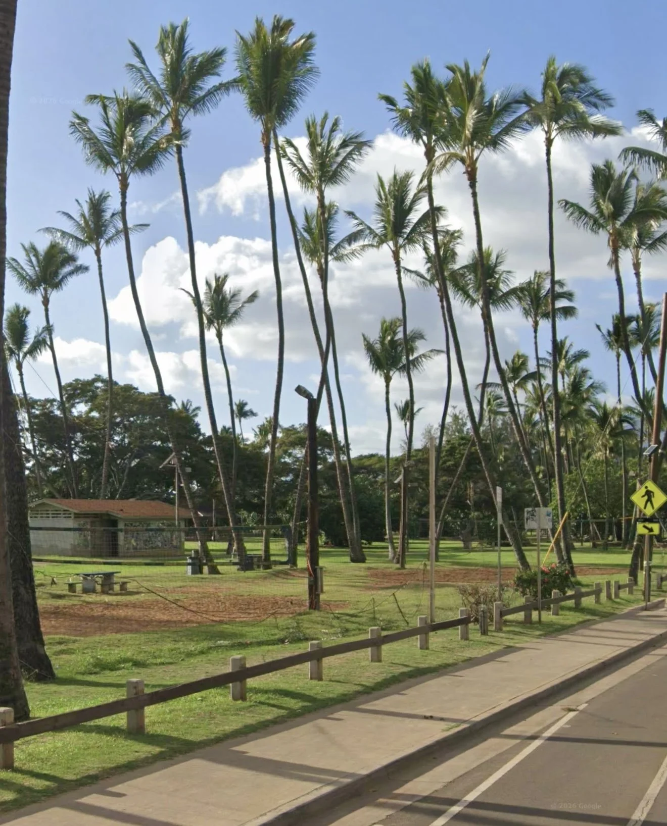 Sunny day with tall palm trees, green grass, a sidewalk, and a yellow pedestrian crossing sign in a park-like setting.