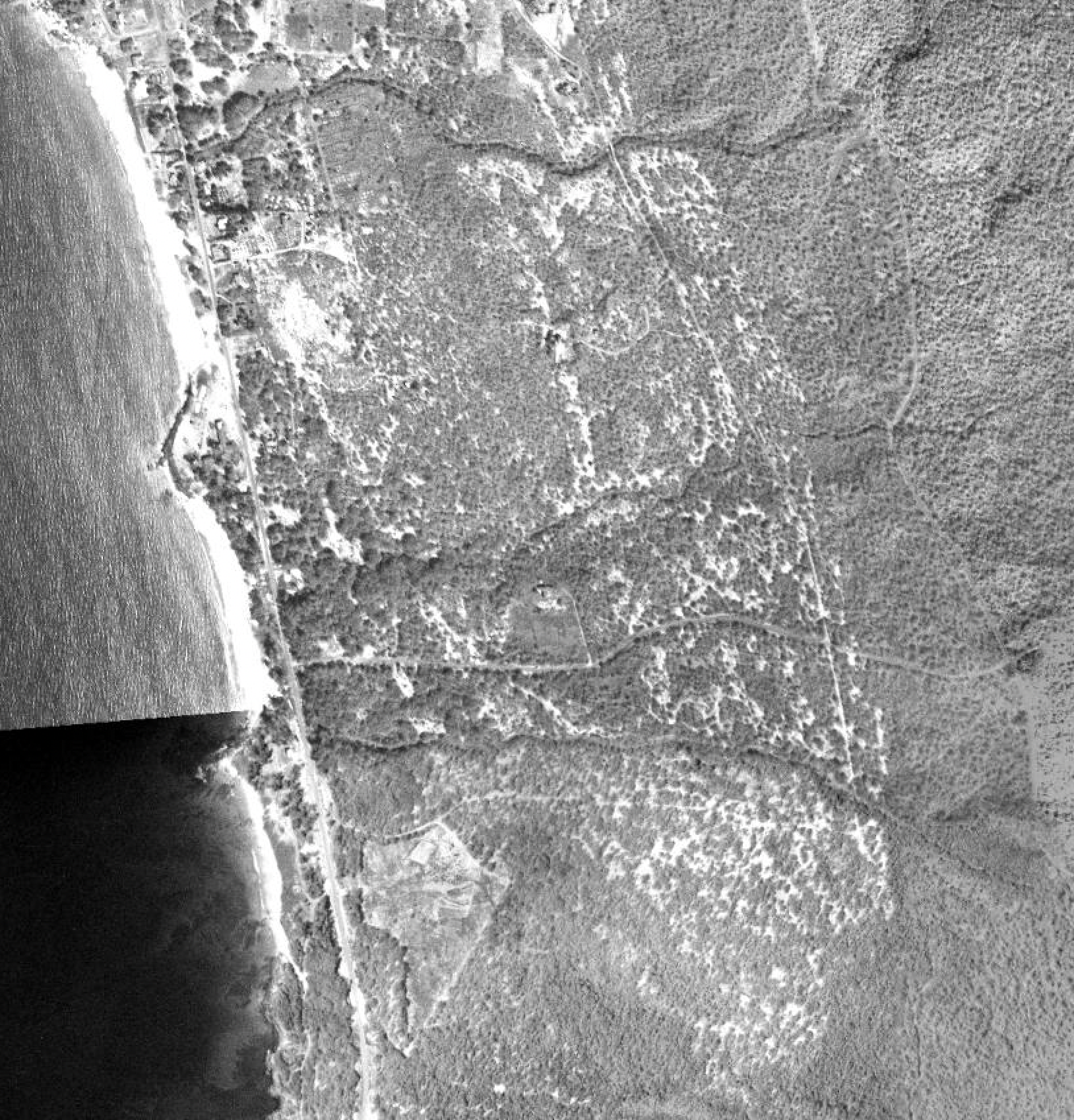 Aerial view of a landscape with a body of water on the left and a large area of wooded land with roads, trails, and some cleared patches.