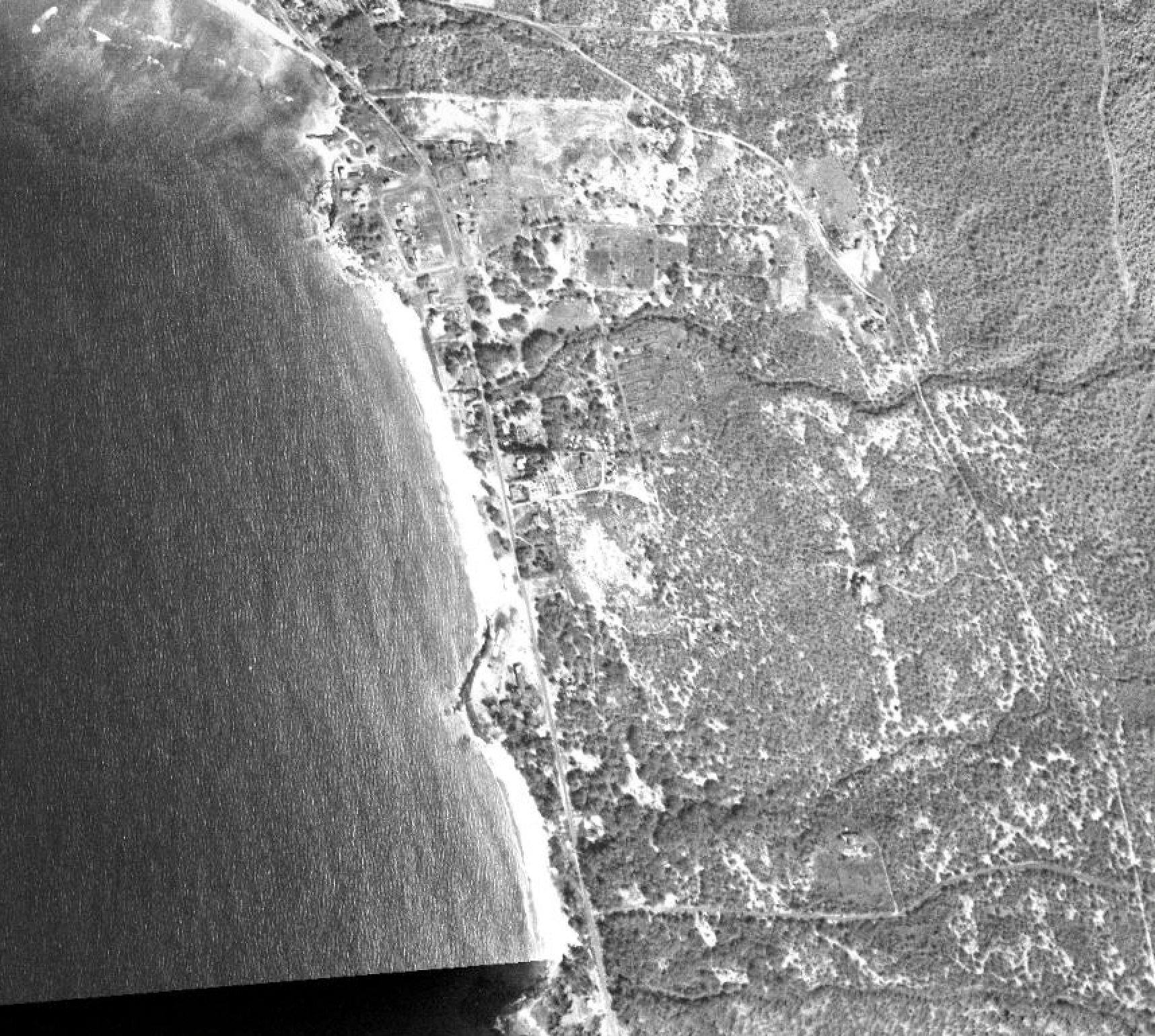 Aerial black and white photograph of a beach coastline with ocean, shoreline, and forested land.