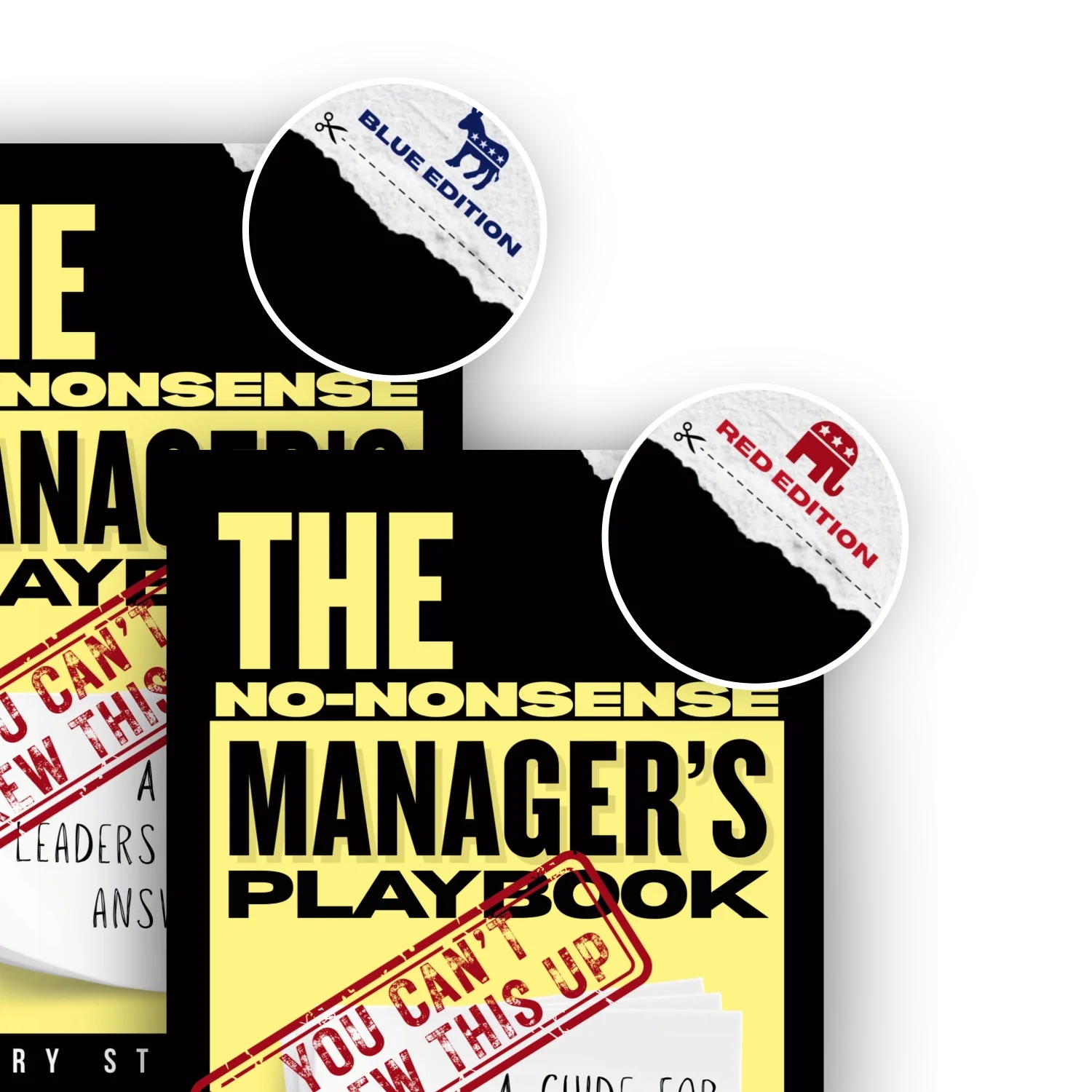 Two editions of the No-Nonsense Manager's Playbook by Garry Stanberry
