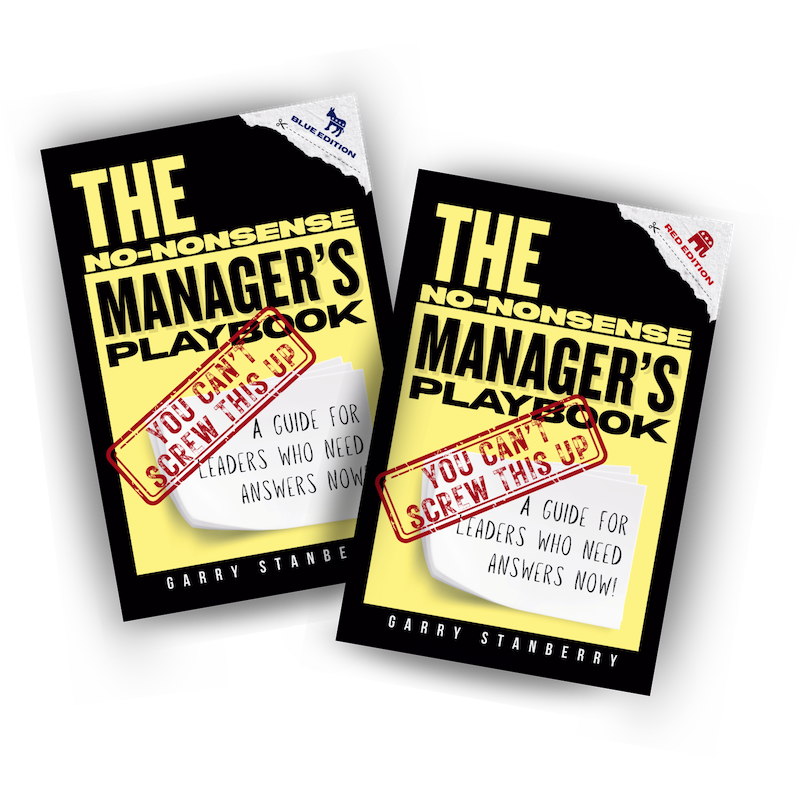 The No-Nonsense Manager's Playbook by Garry Stanberry