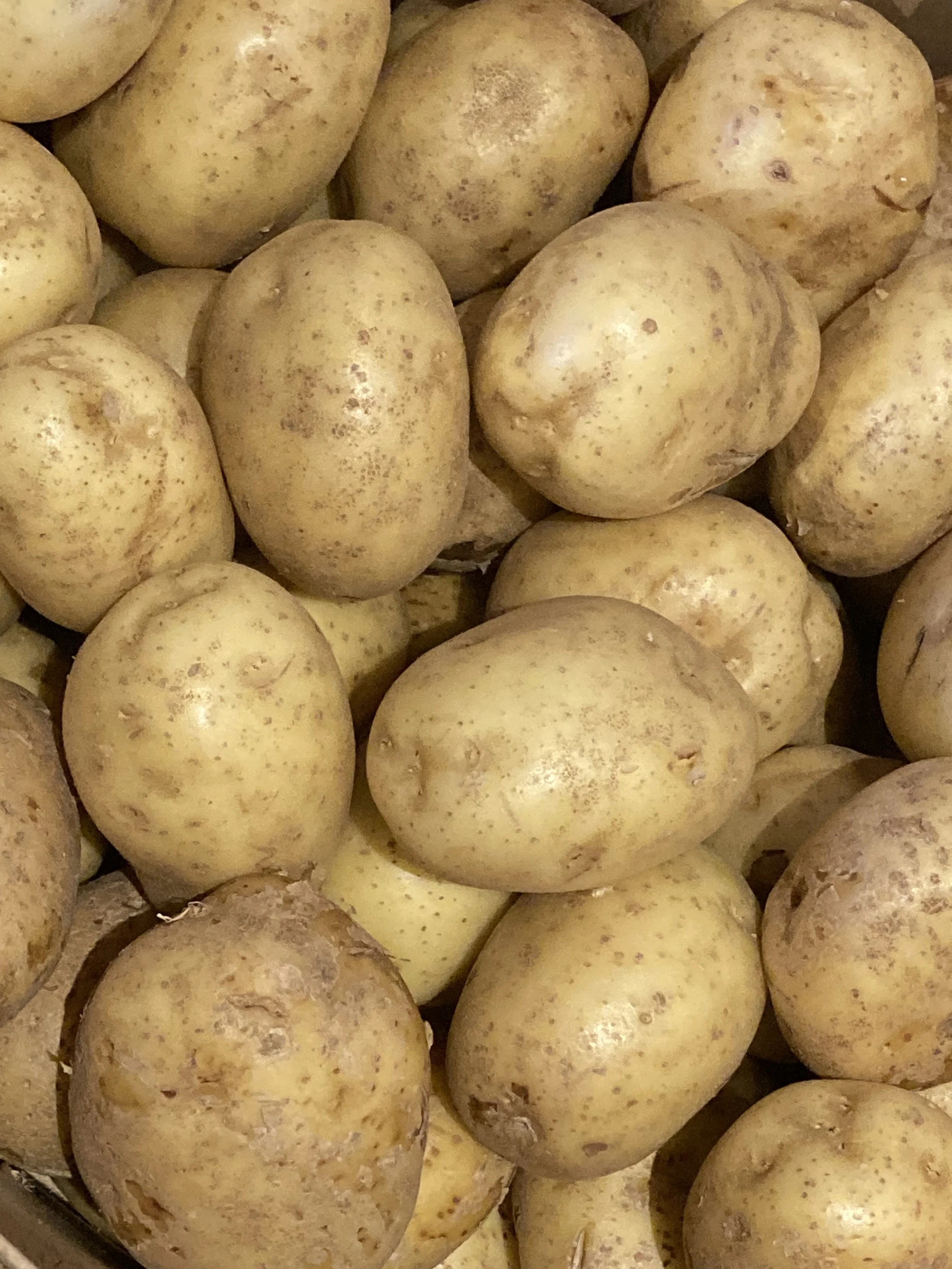 Gold Potato.jpg