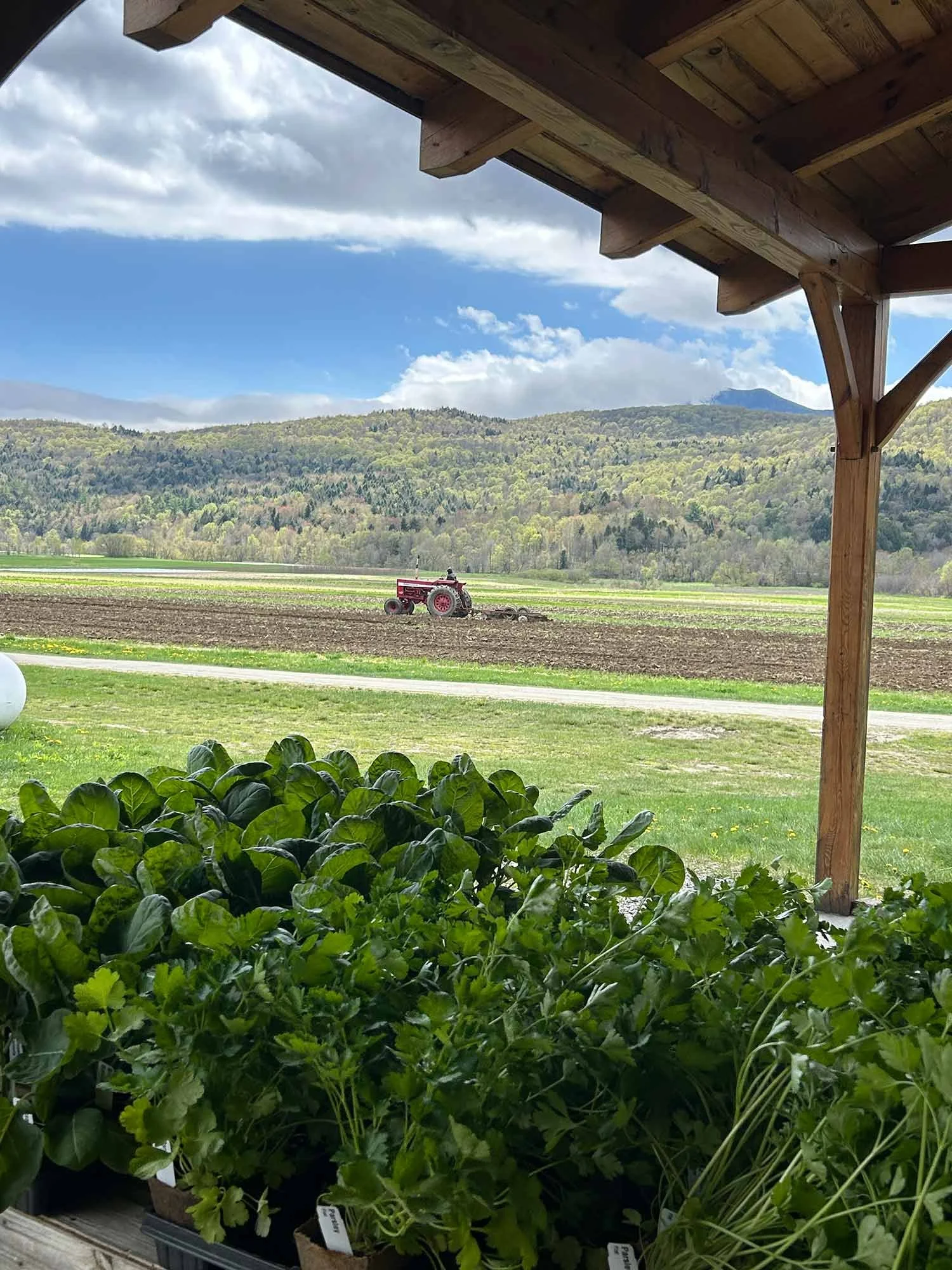Green herbs in pots on a porch with a view of a farm field and rolling hills in the background, tractor plowing in the distance under a partly cloudy sky.