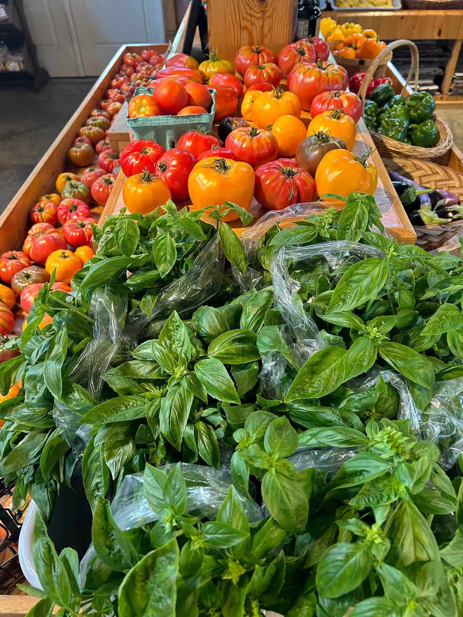 Fresh heirloom tomatoes of various colors, green basil plants in plastic bags, and bell peppers in a market stand.