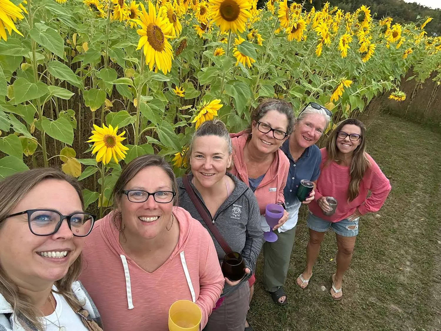Group of six women standing in front of a sunflower field, smiling and holding drinks.