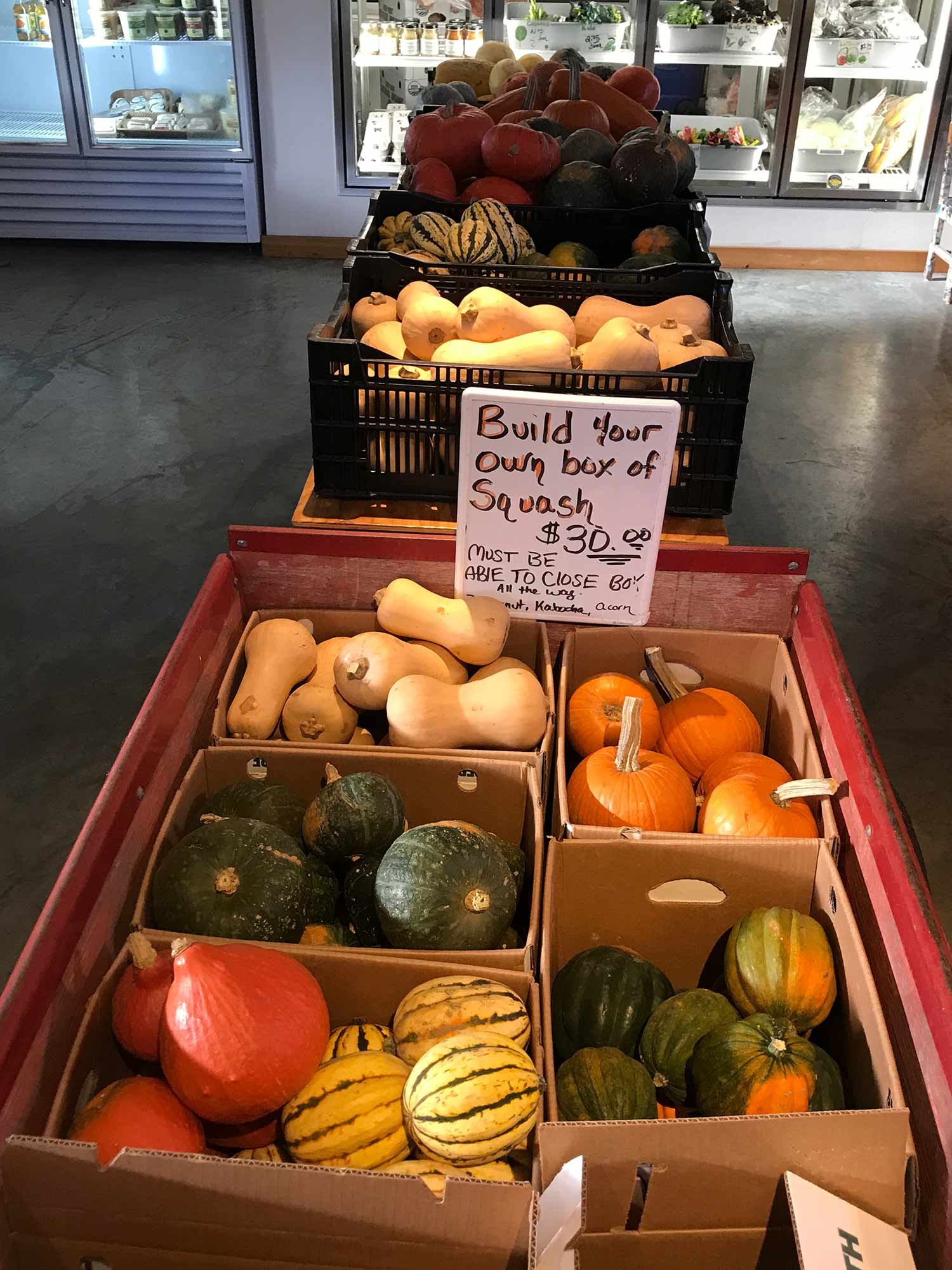 Mixed Squash Box, 40lbs