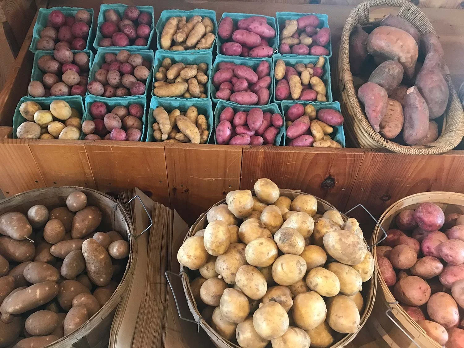 Potatoes, 50 lbs