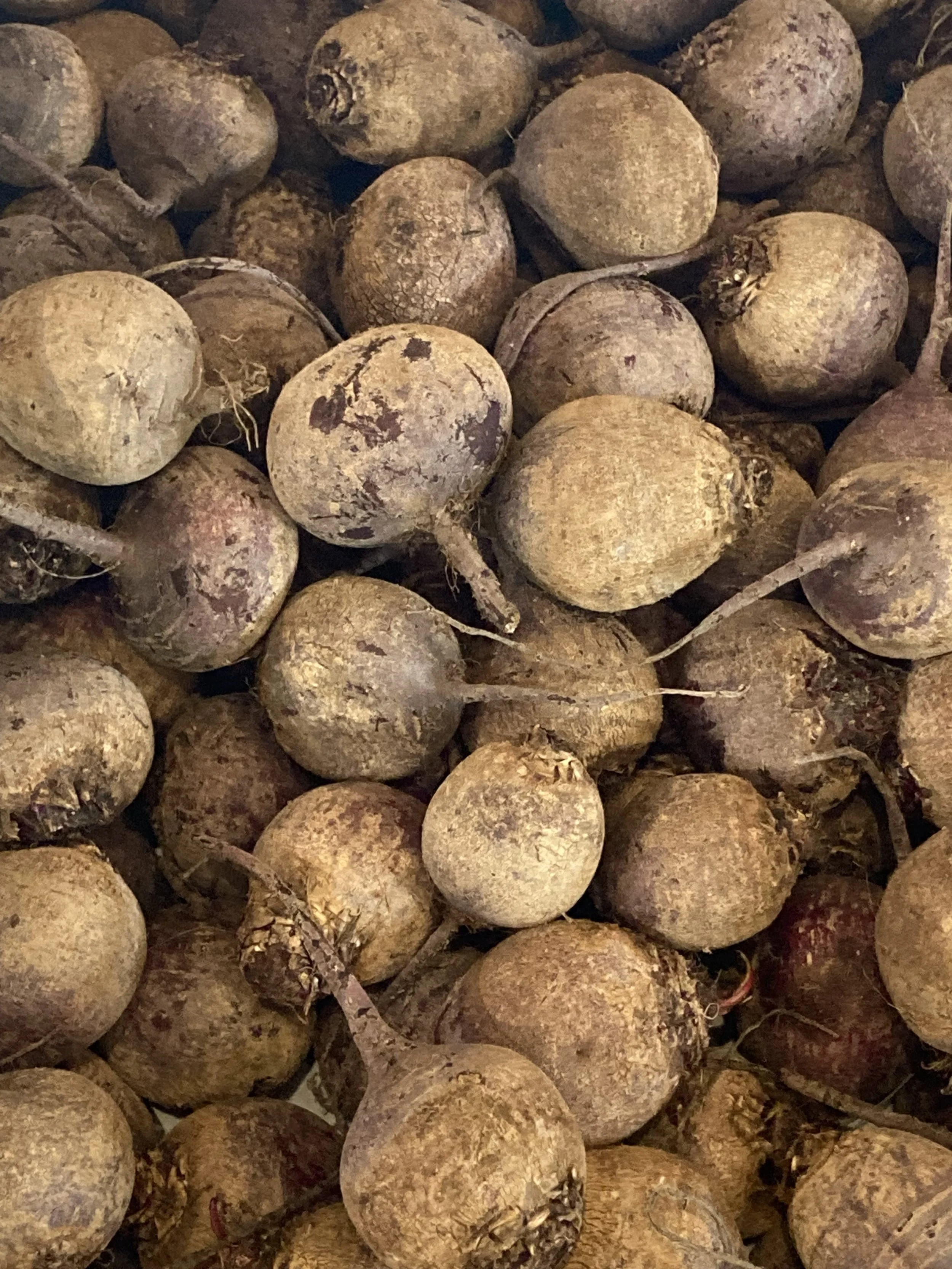 Red Beets - small.jpg