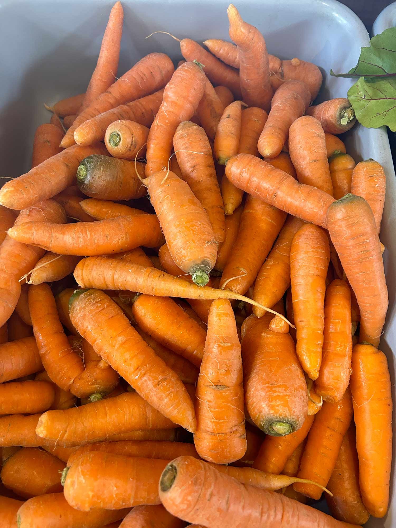 Carrots, 25 lb bag
