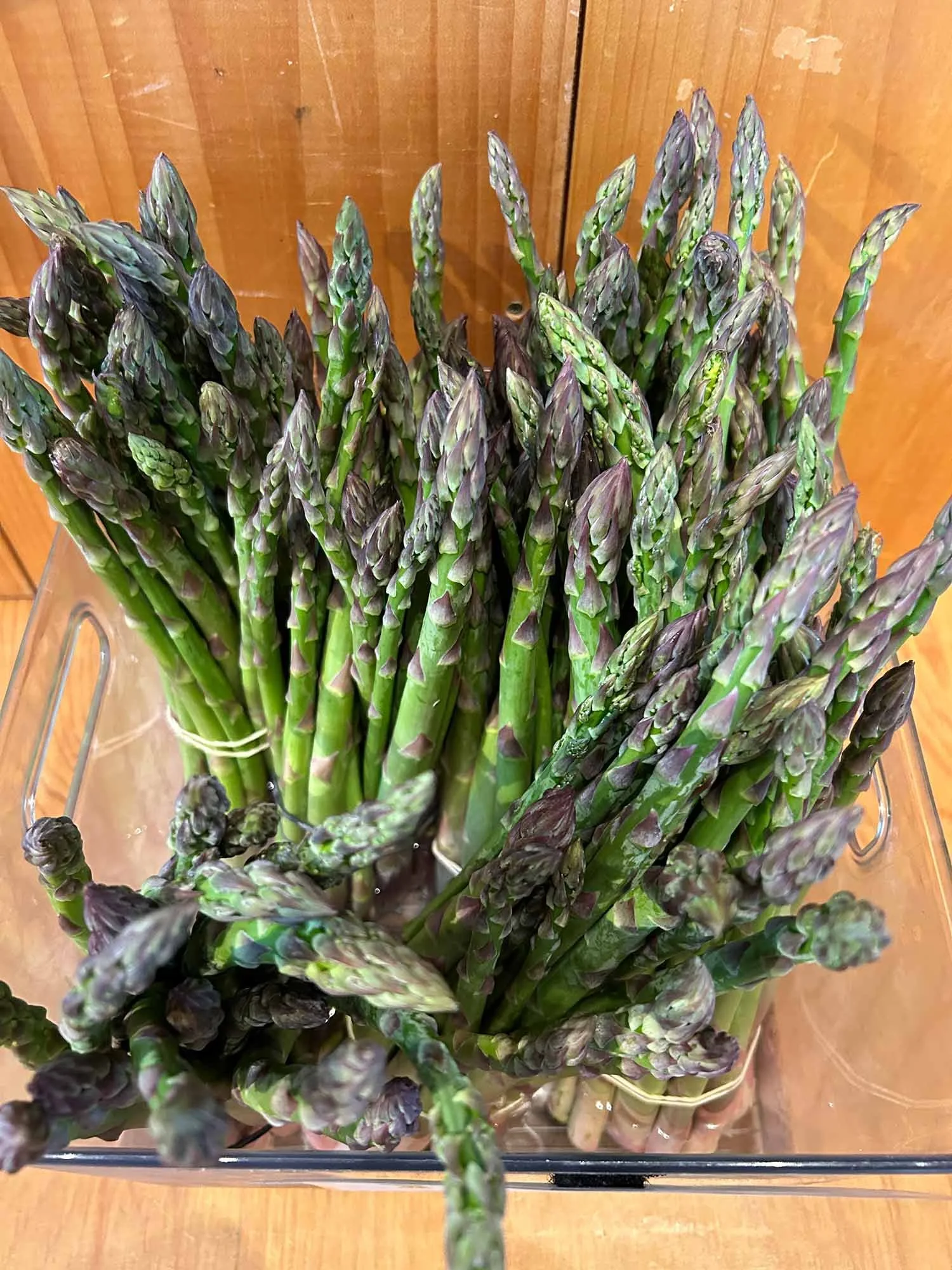 Fresh green and purple asparagus spears in a clear container on a wooden surface.