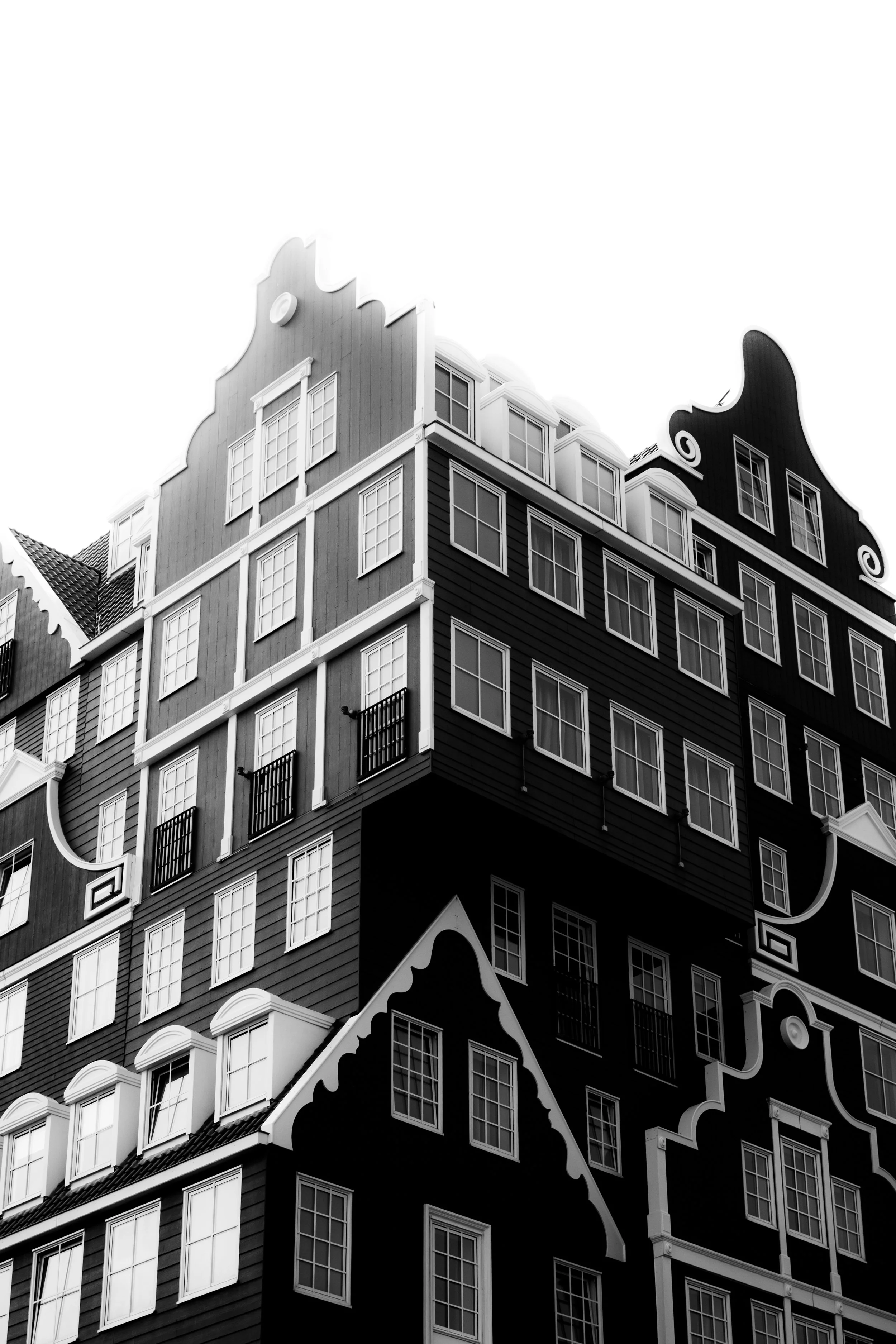 20250815_115454000_iOS 1.jpg