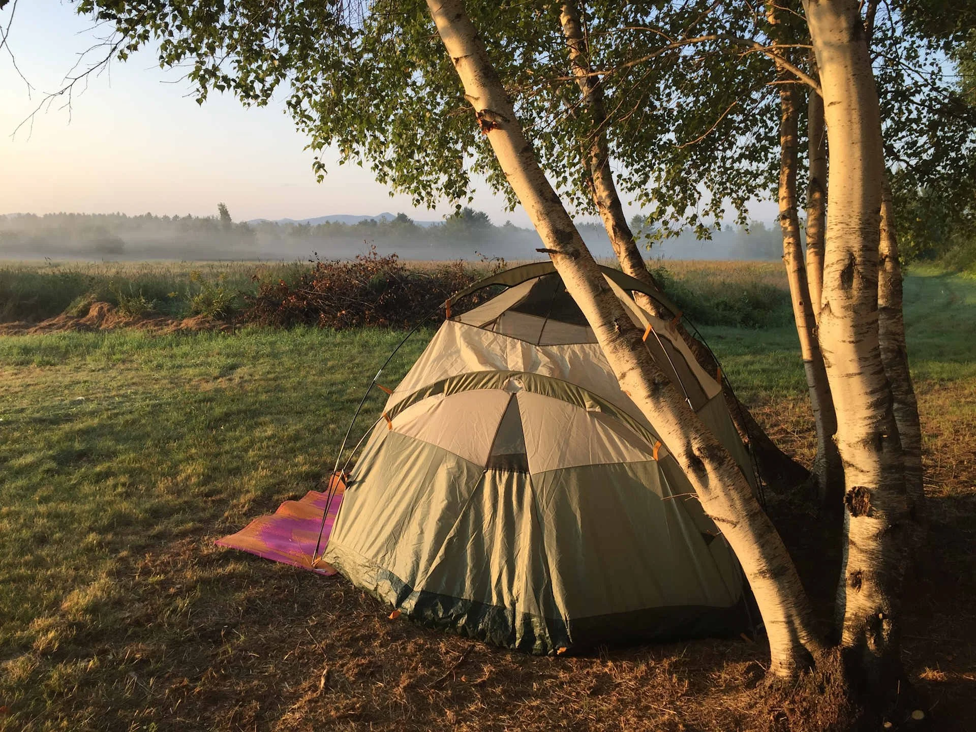misty morning.jpeg