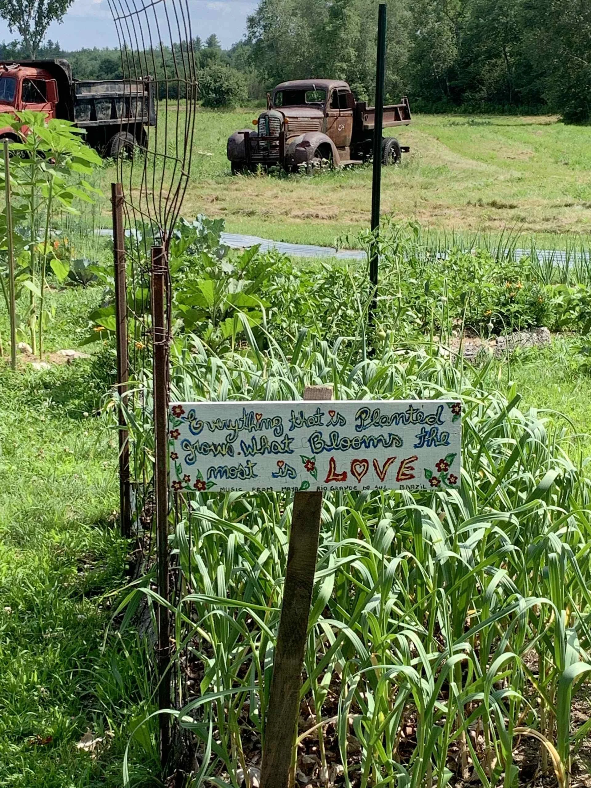 cute sign.jpeg