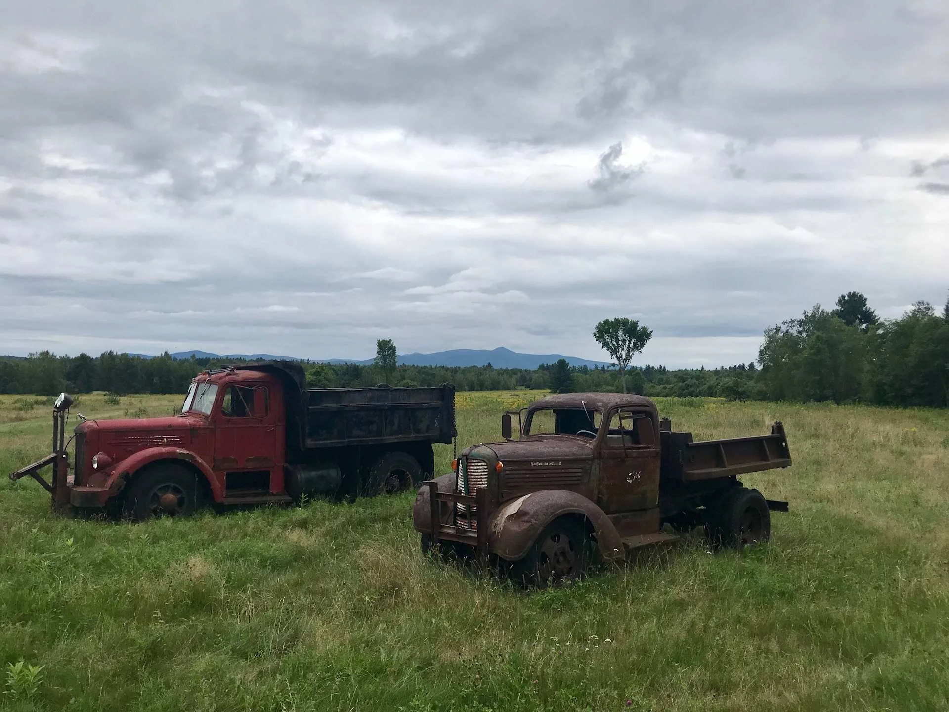 rusted trucks #2.jpeg