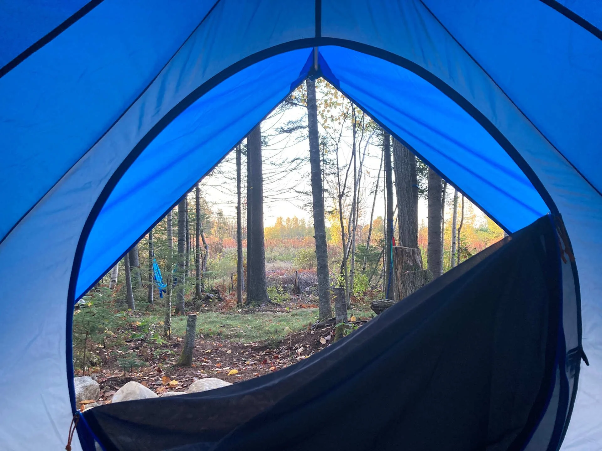 from inside tent.jpeg
