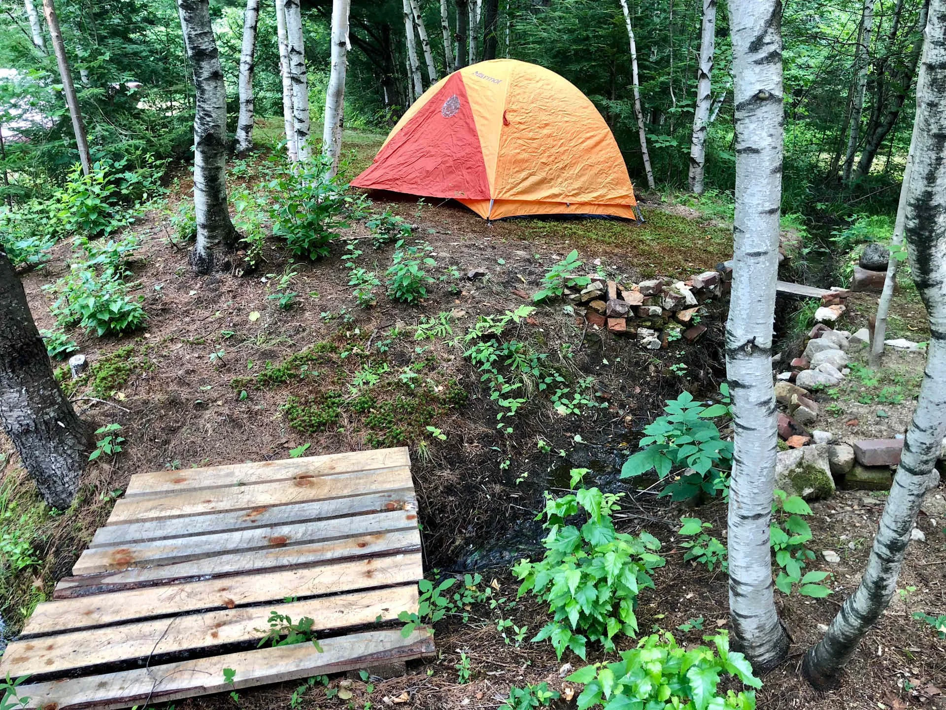 tent .jpeg