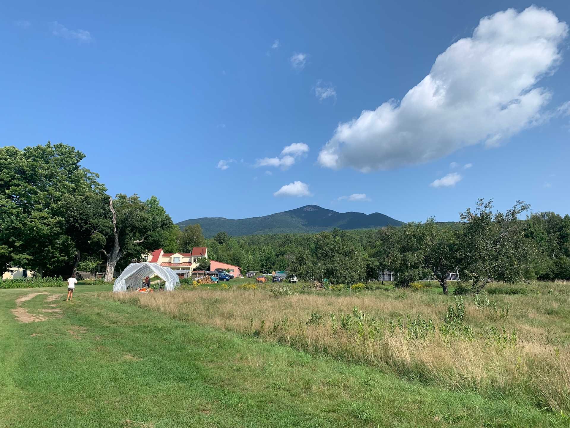 field sacred-nectar-sanctuary-sacred-nectar-sanctuary-new-england.jpeg