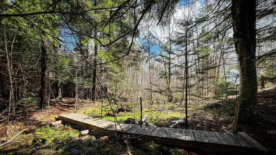New secret trails. Recycled boat docks. One man’s trash is a sanctuary’s treasure.jpg