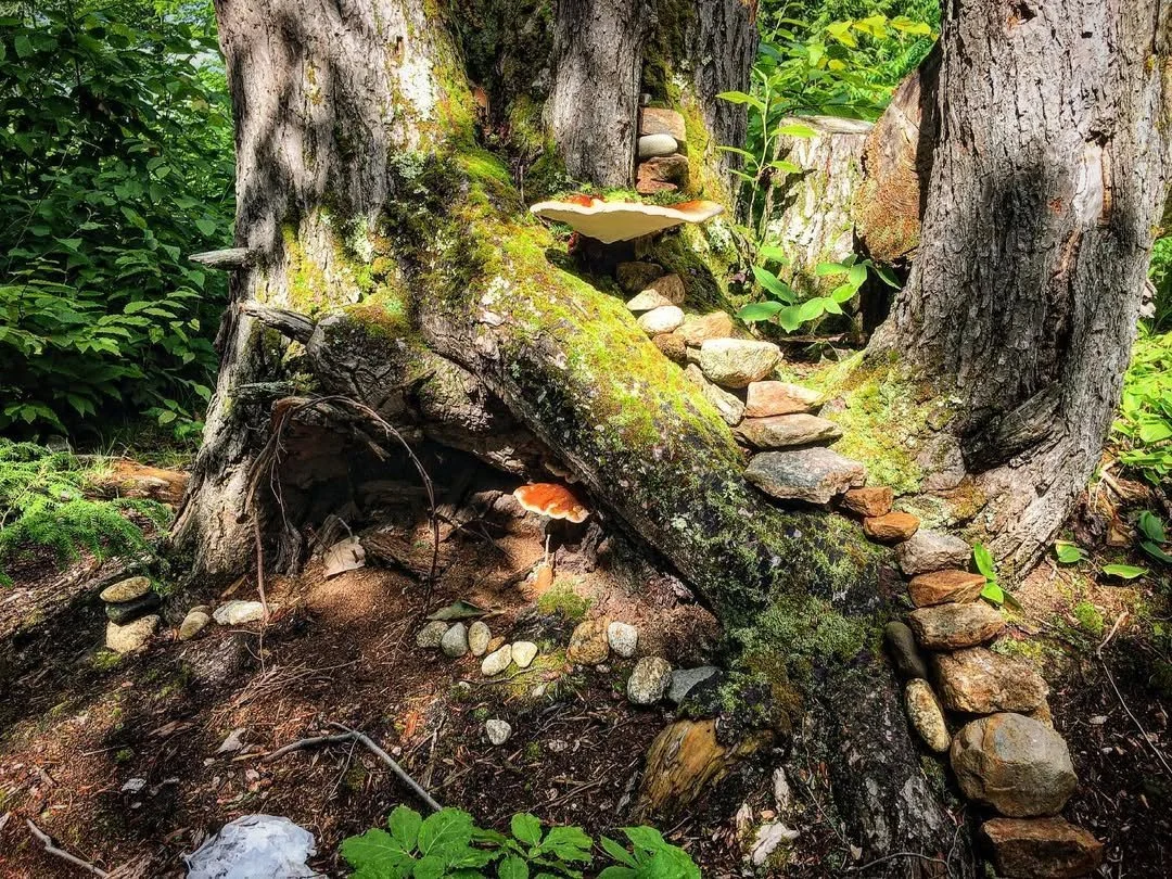 A campers fairy home on site 6!.jpg