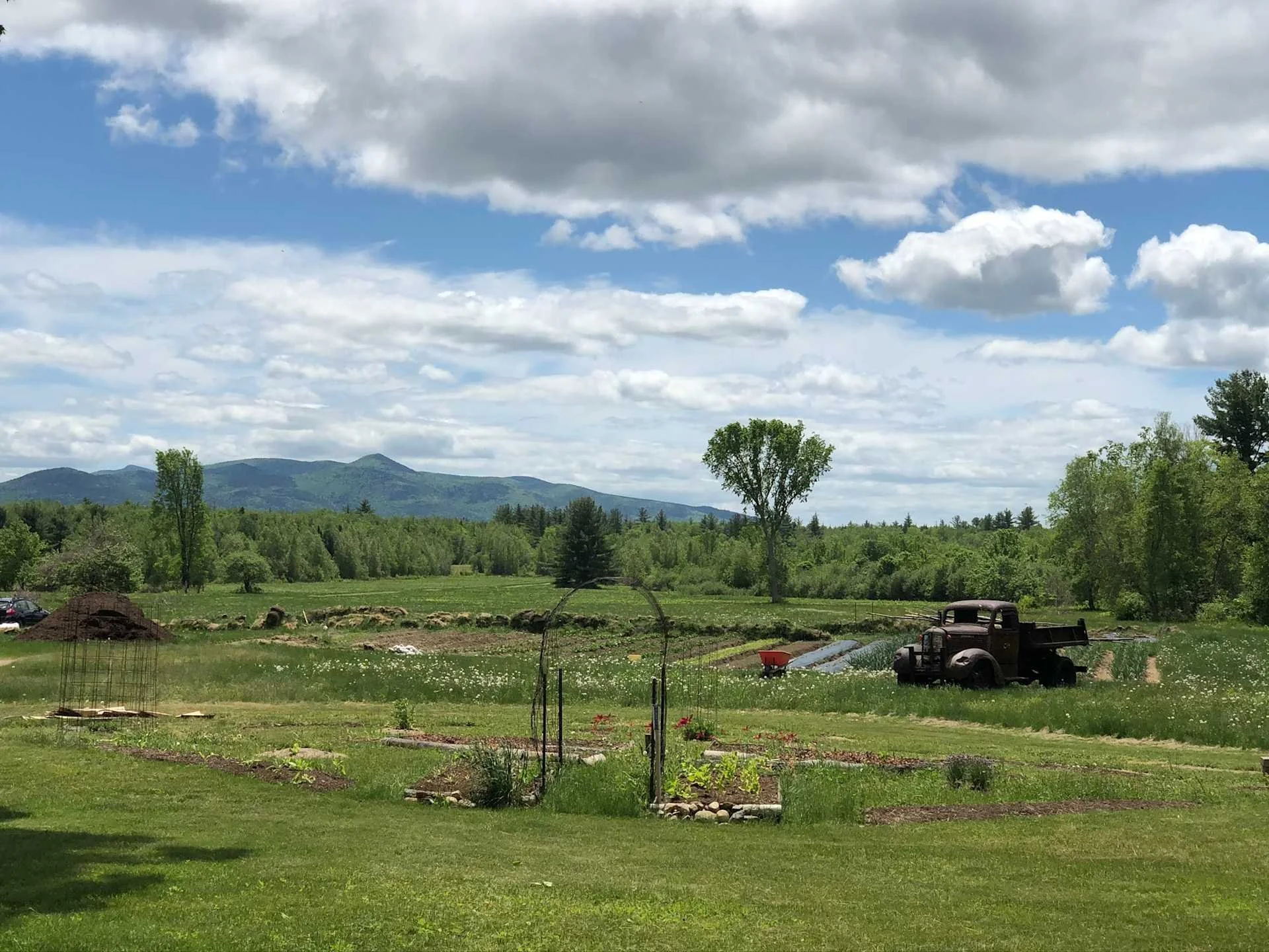 farm field.jpeg