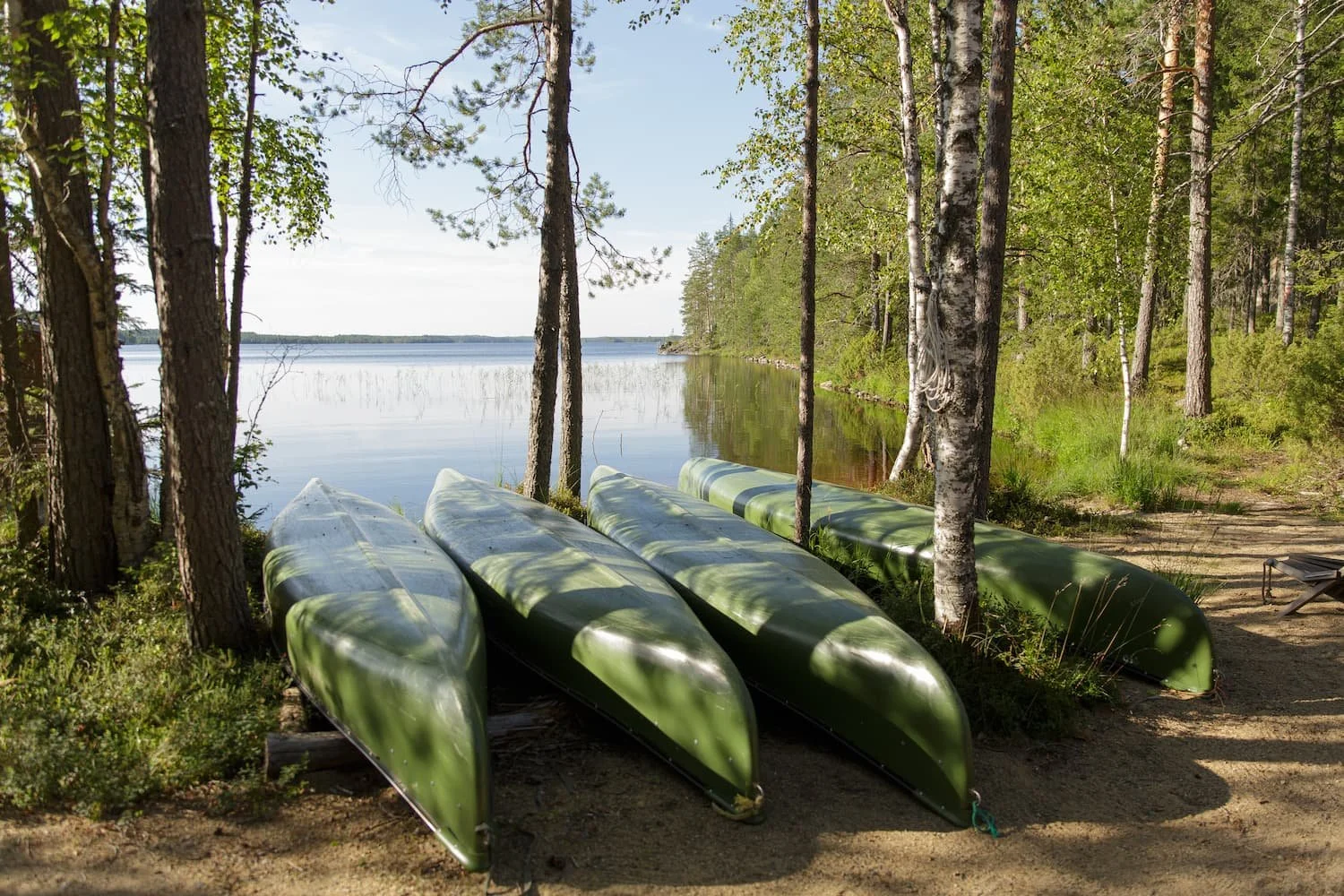 Four green canoes upside down on the ground among trees by a lake, with a sandy trail and green foliage.