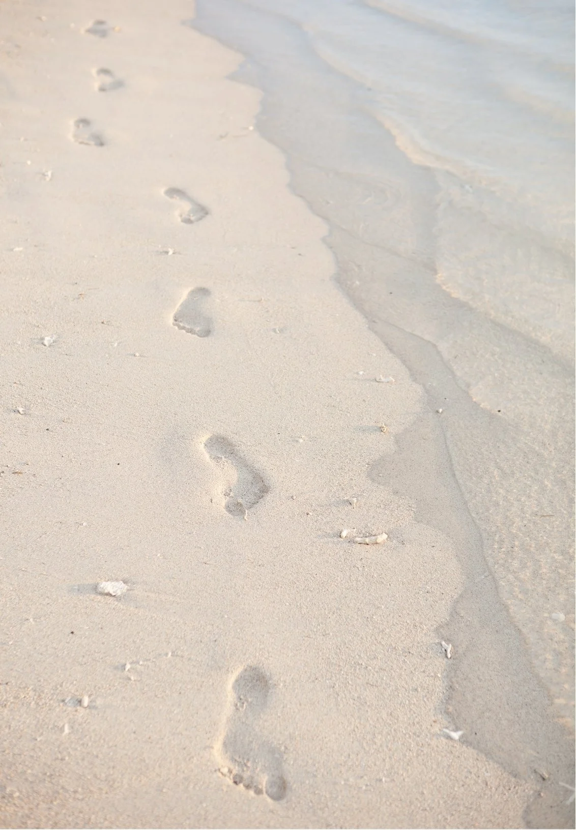 Footprints in the sand near the shoreline on a beach with gentle waves.