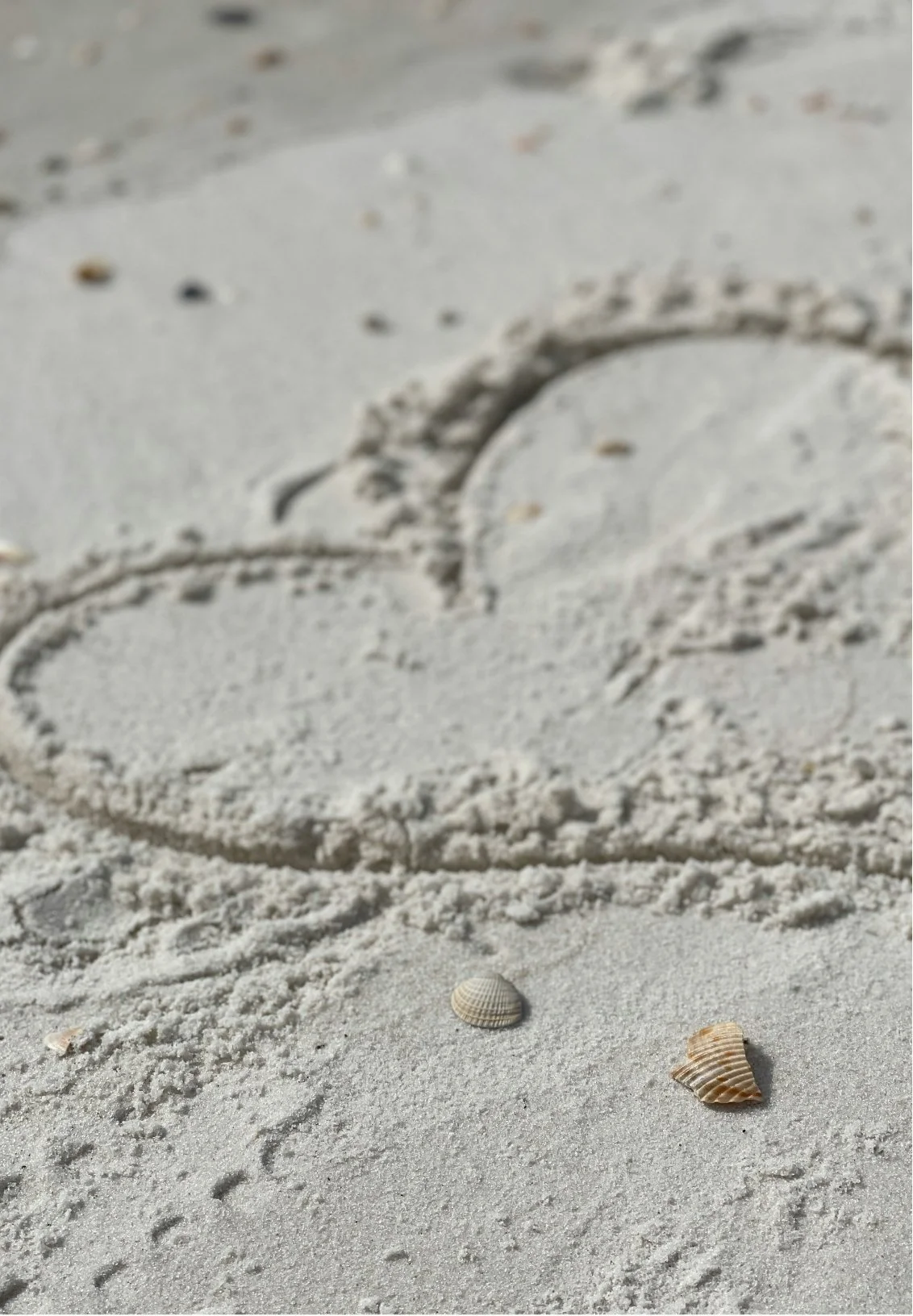 Close-up of sand on a beach with a seashell and a drawing of a heart in the sand, and a beach wave in the background.