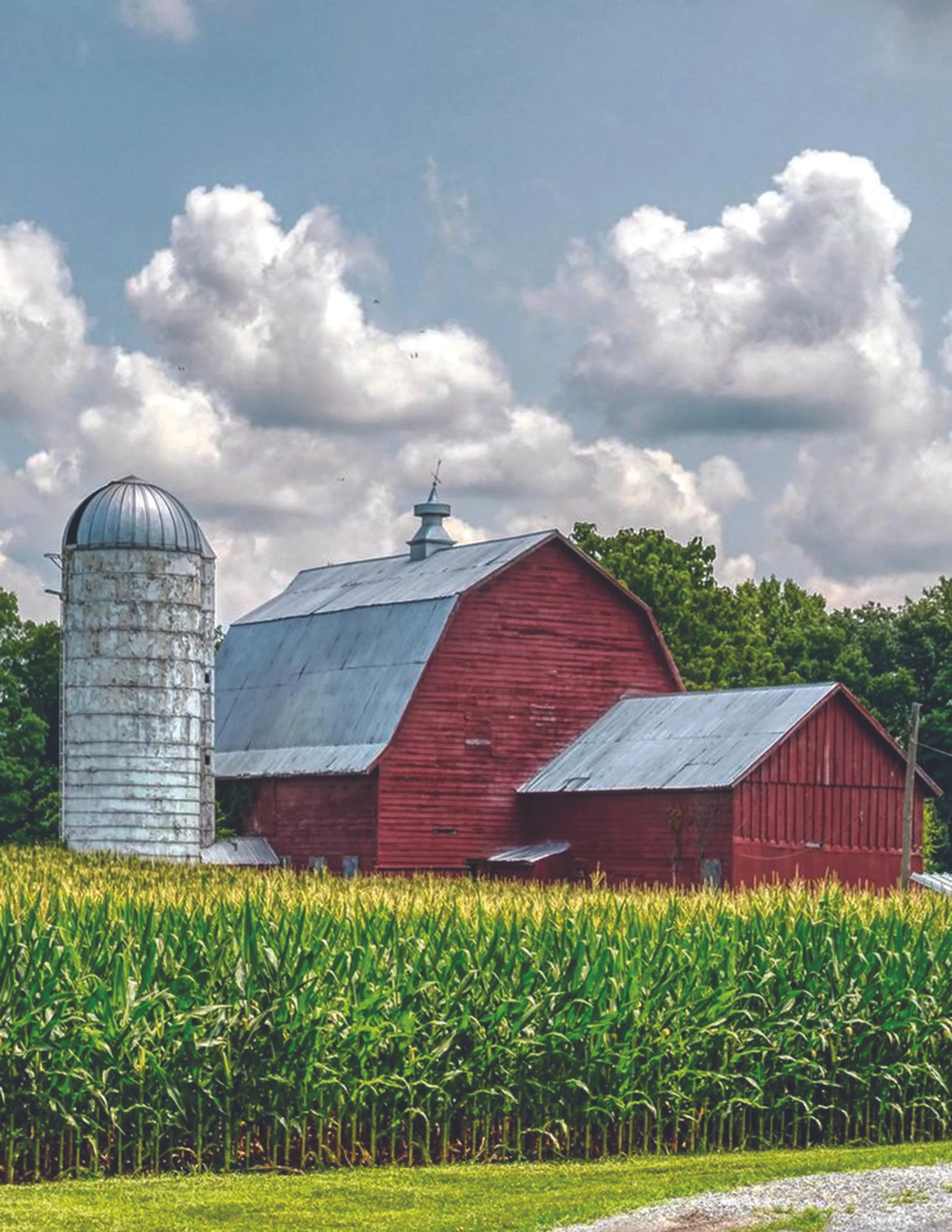 Locust Hill Farm.jpg