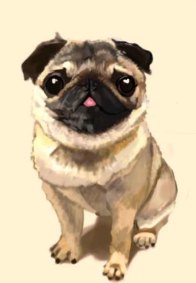 "Pug" Digital 2022