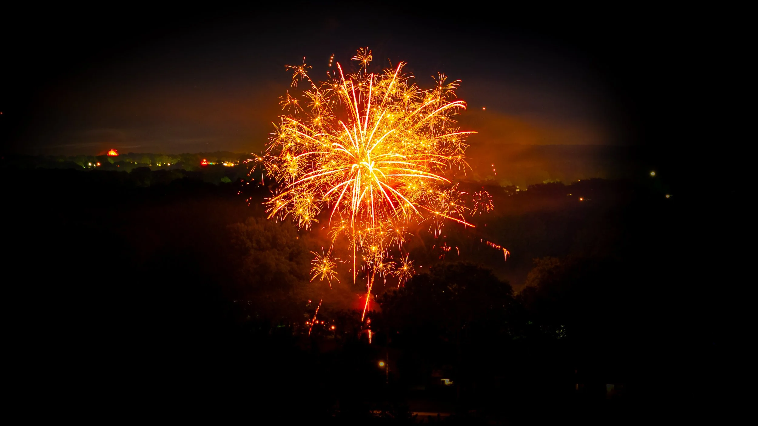 Fireworks exploding in a dark night sky over a landscape with trees and distant lights.