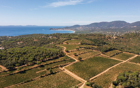 domaine de la croix.png