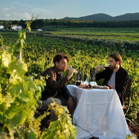 Vignobles_Hoya de Candenas.jpg