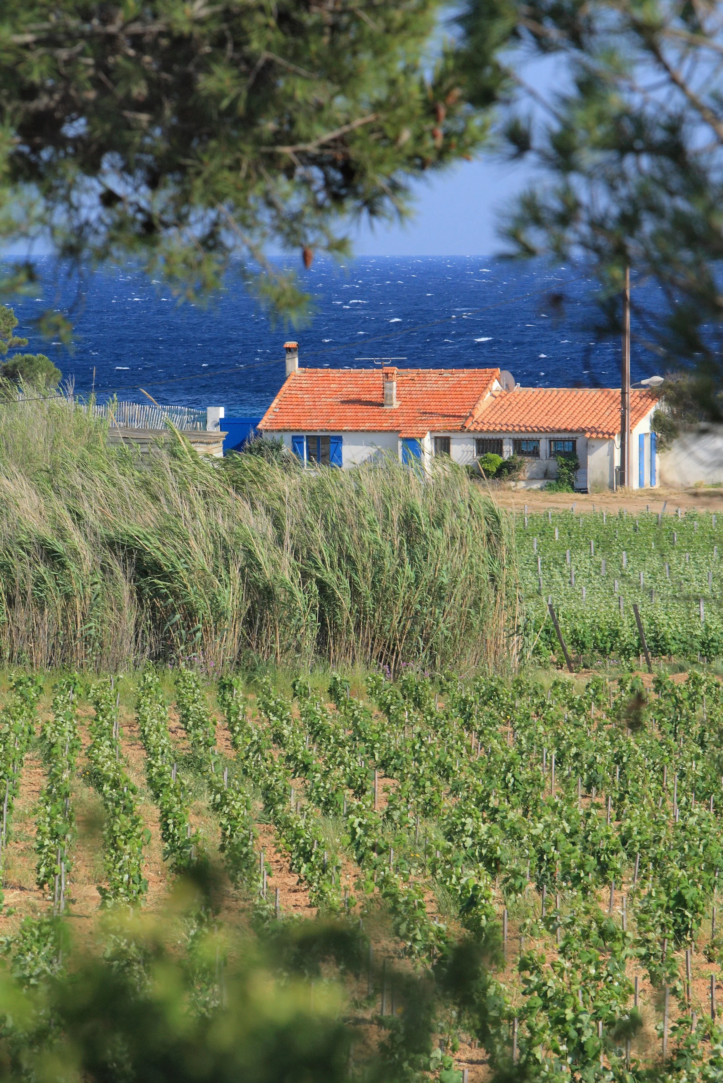 Domaine de La Croix (10).JPG