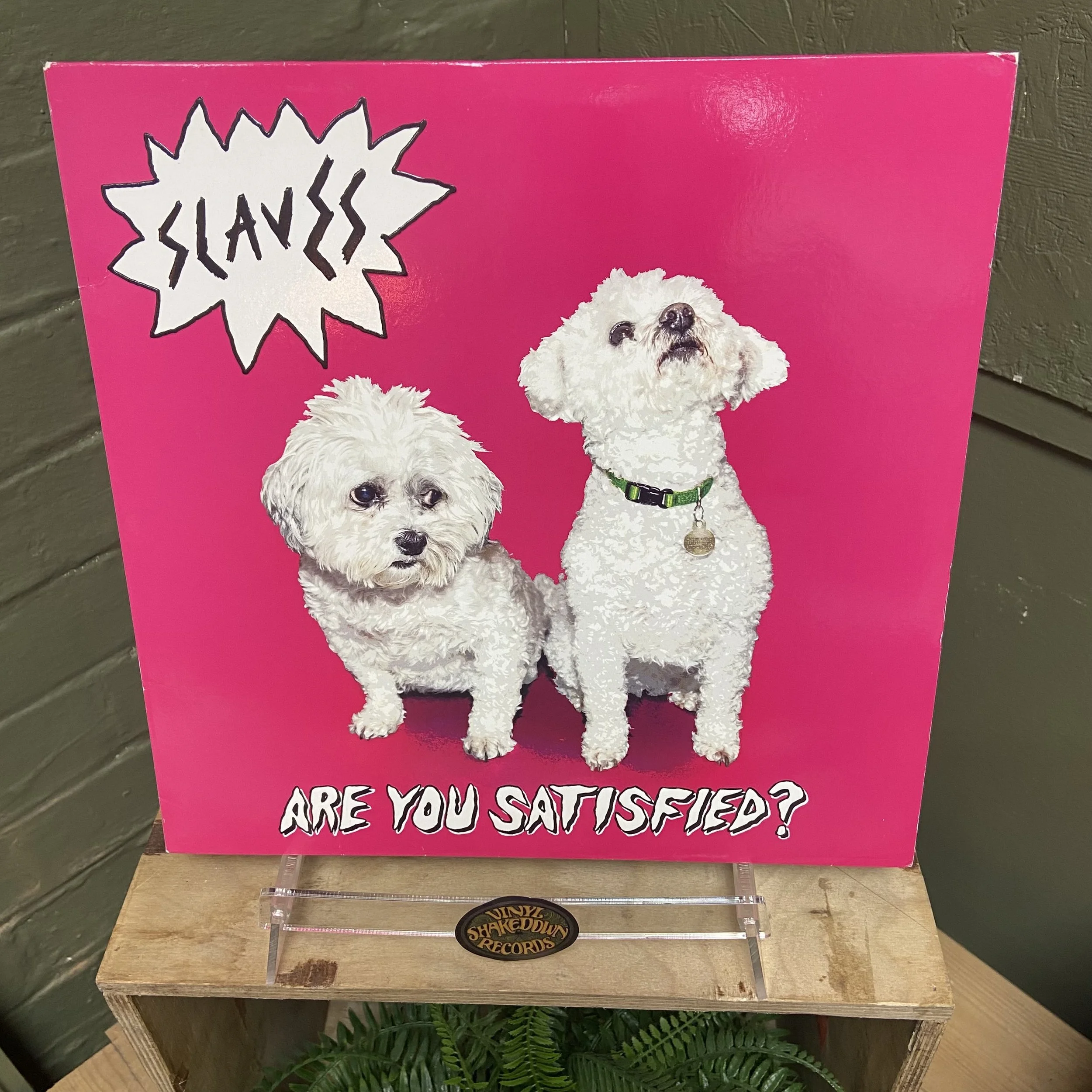 Slaves 'Are You Satisfied?' (2015) - UK First Press with Printed Inner - VG+/VG VINYL (Punk / Garage Rock)