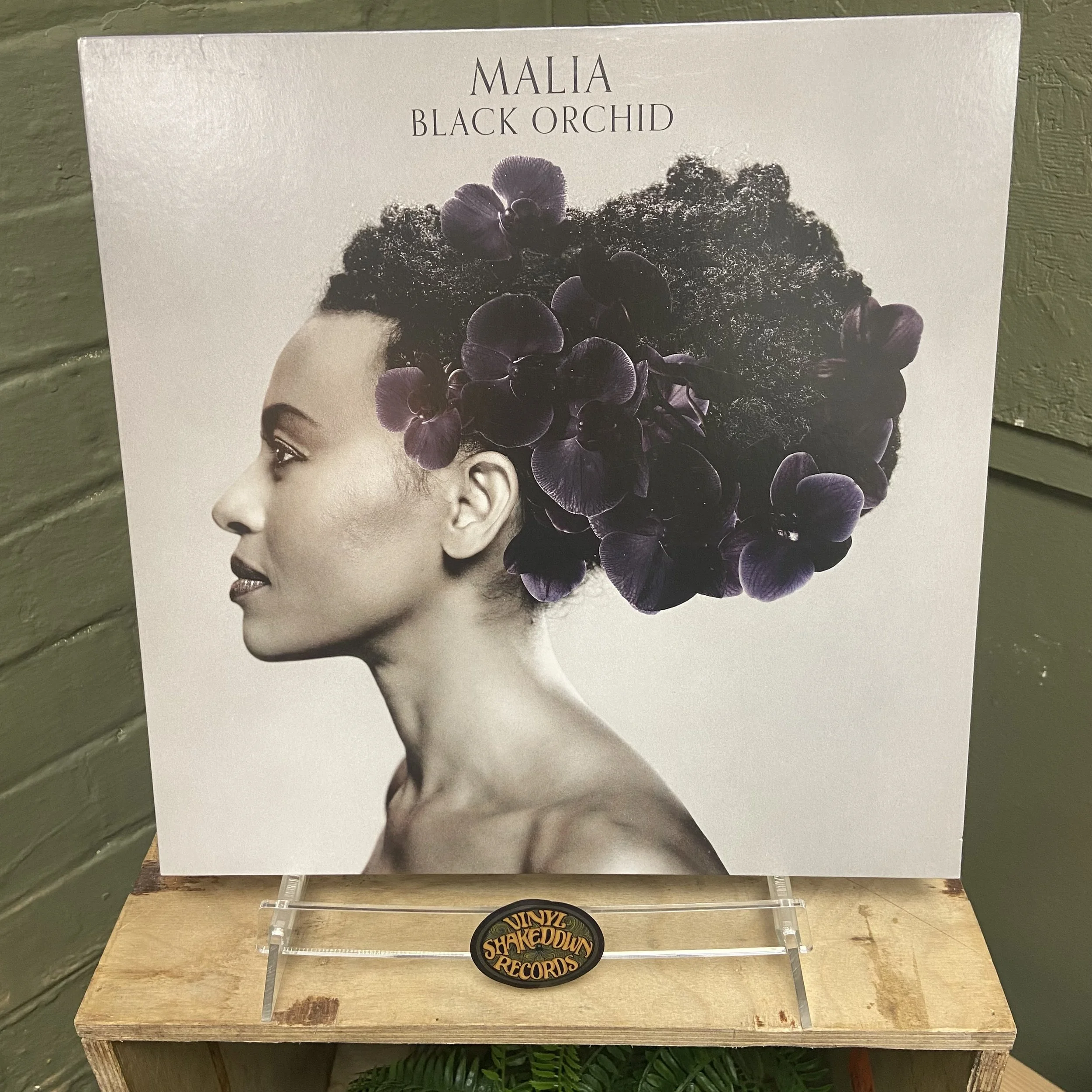 Malia 'Black Orchid' (2012) - European Press - VG+ VINYL