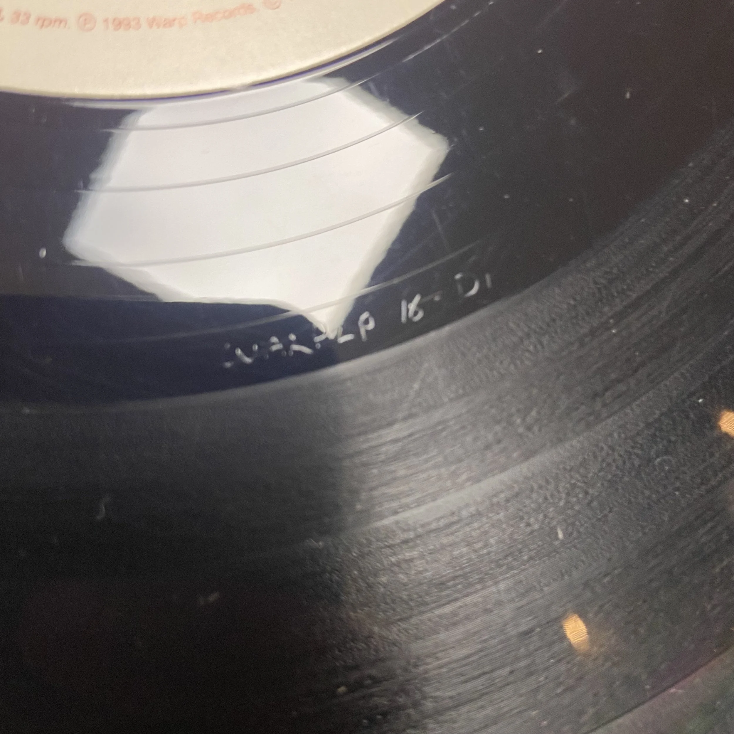 IMG_5305.jpeg