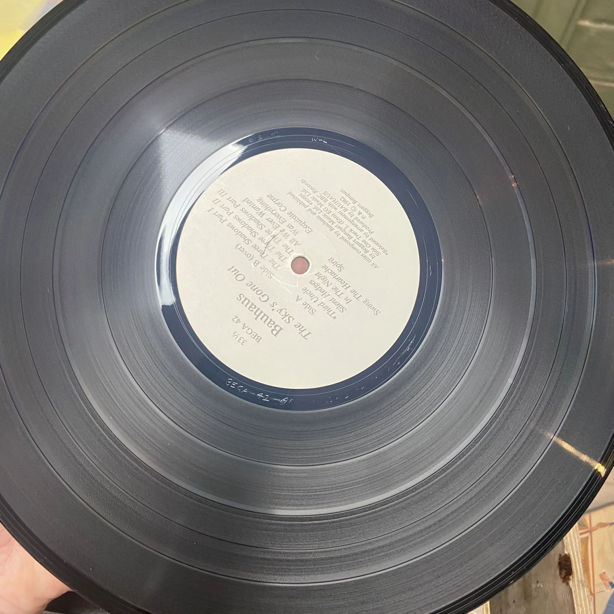 IMG_7875.jpeg