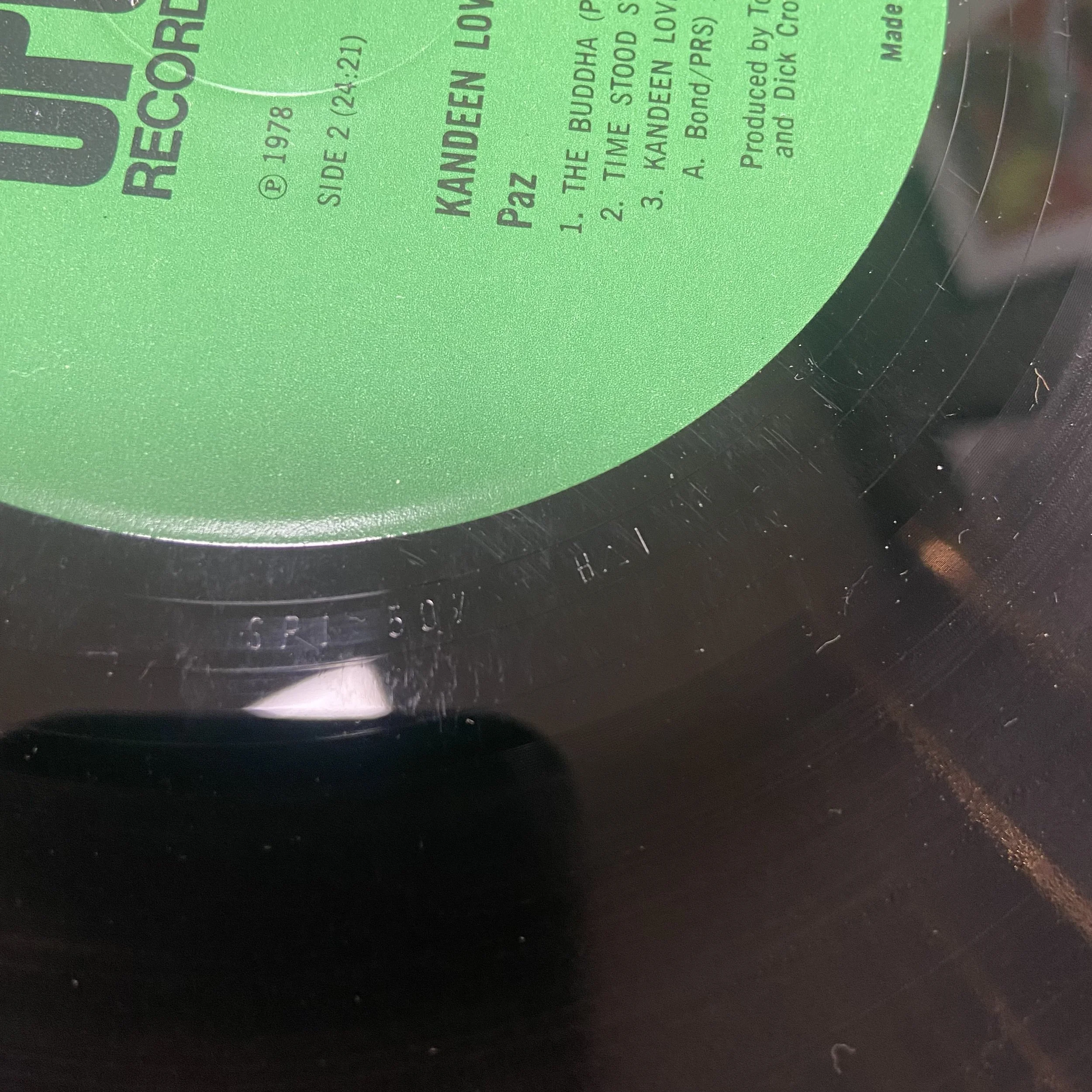 IMG_2544.jpeg