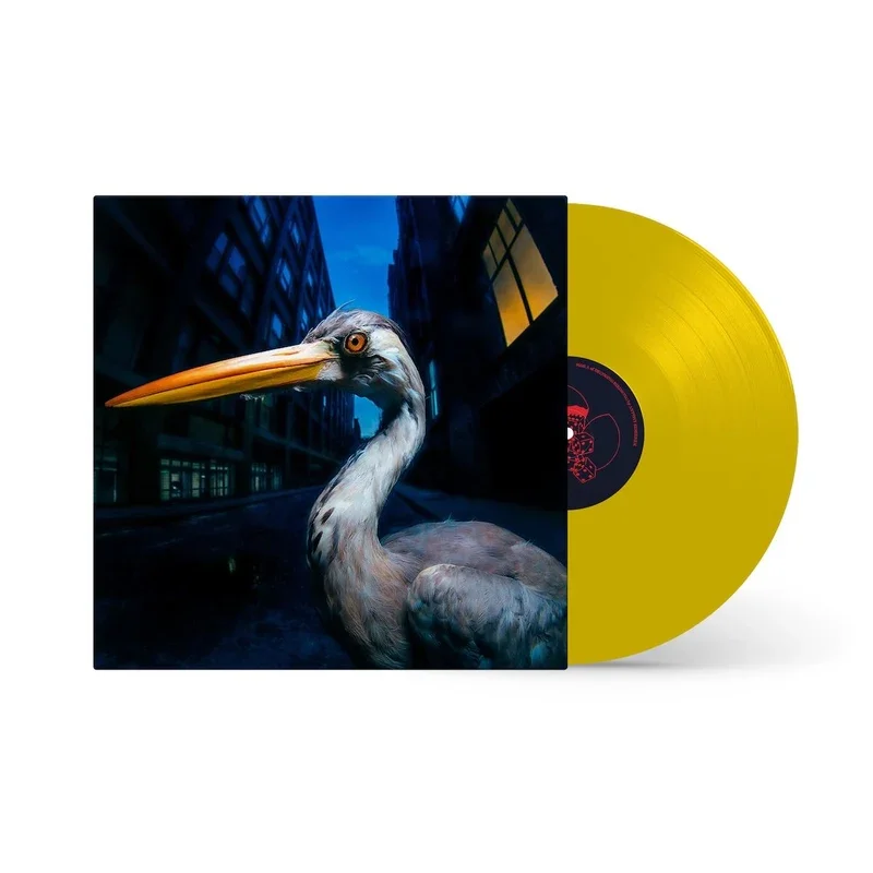 Antony Szmierek 'Decoding Birdsong' (2026) - Limited Edition Beak Yellow Vinyl - NEW VINYL