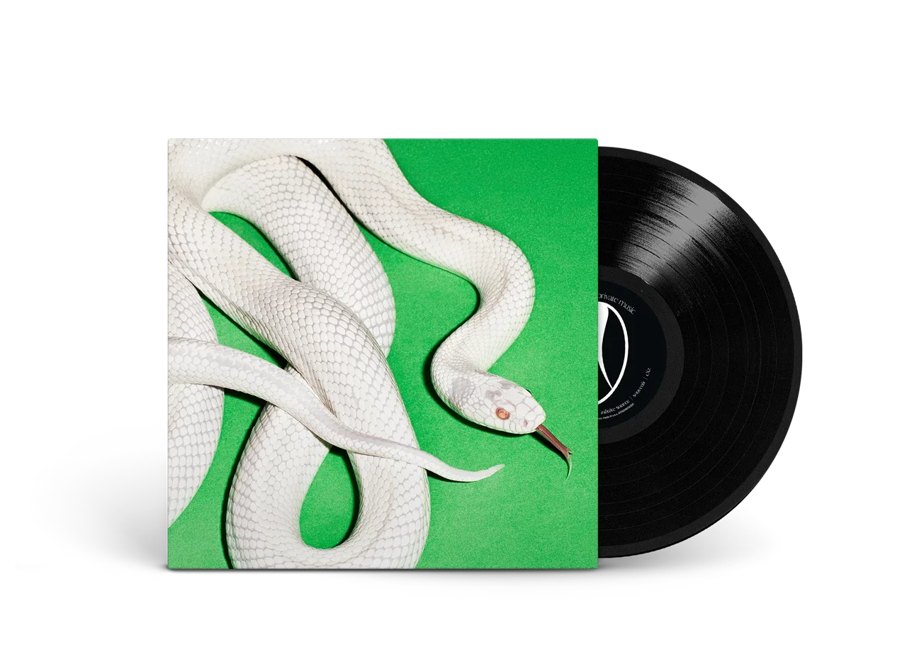 Deftones 'Private Music' - Vinyl NEW