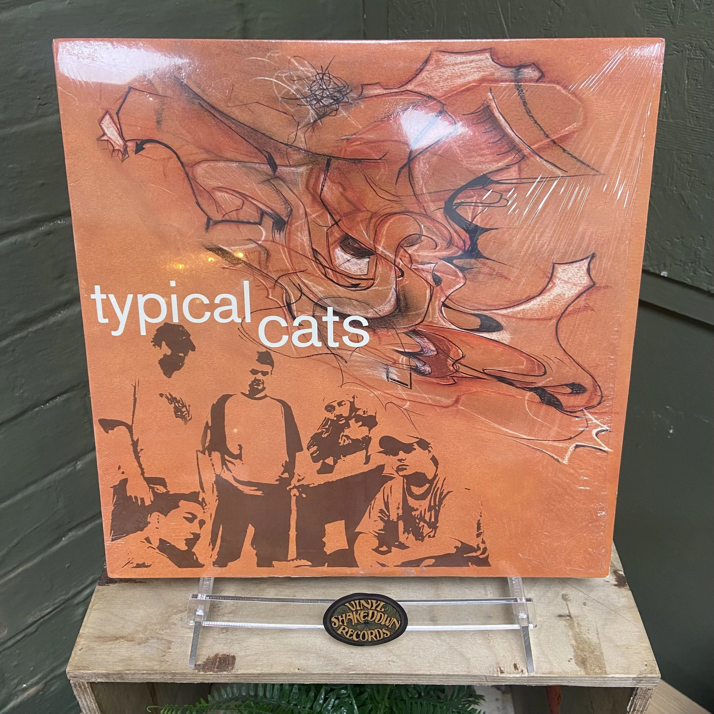 Typical Cats 'Typical Cats' (2001) - USA Press, Hip Hop - VG+ VINYL