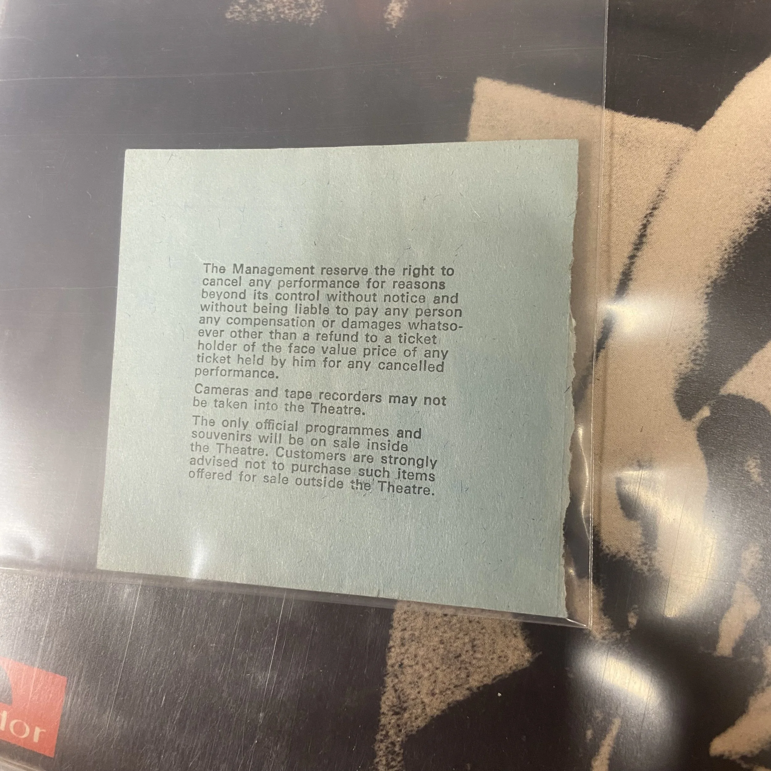 IMG_4938.jpeg