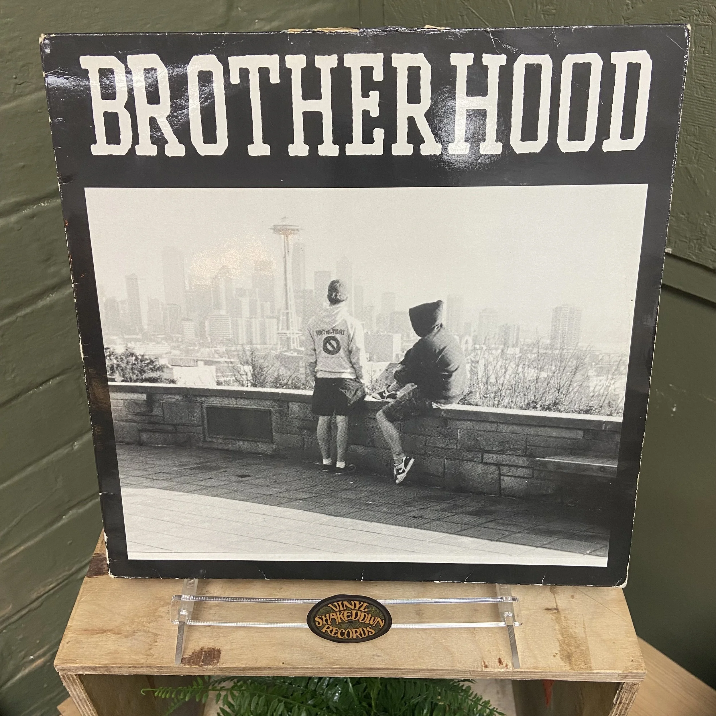 Brotherhood 'Words Run... As Thick As Blood!' (1989) - German Press with Poster, Pink Colour - VG+ VINYL