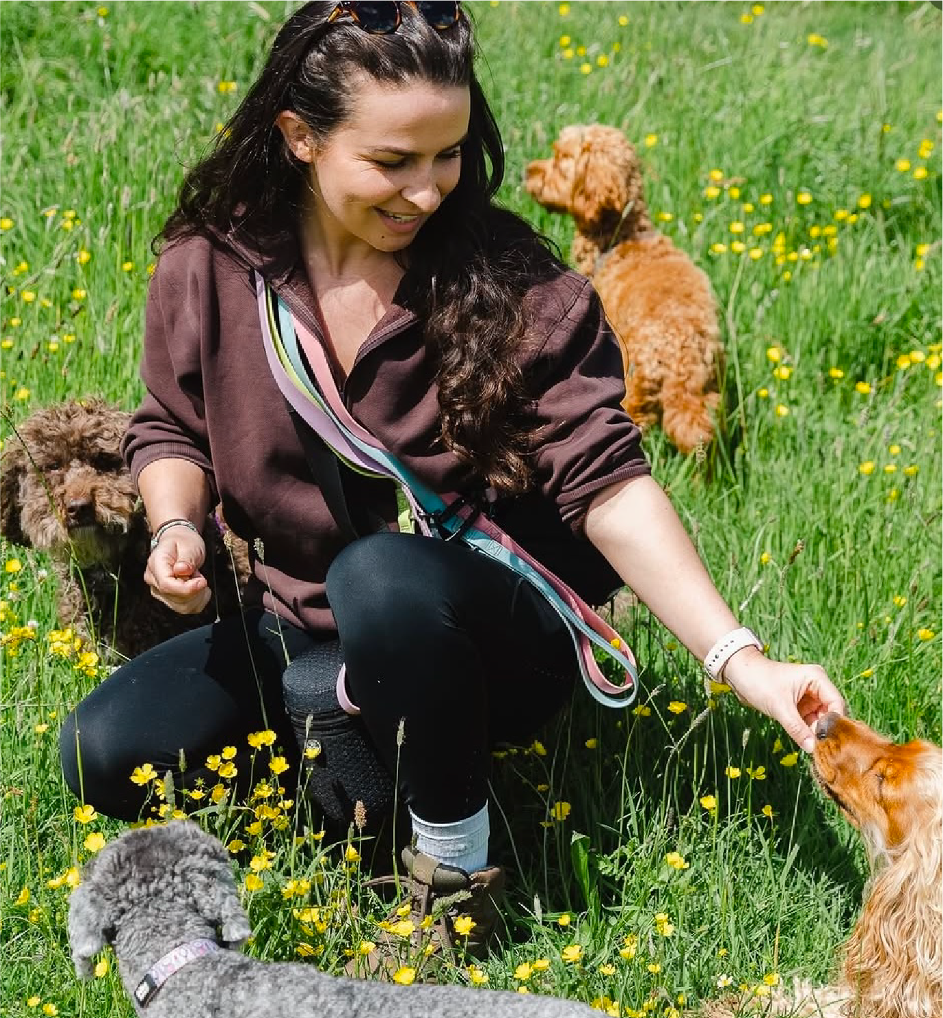 A woman sitting in a grassy field with yellow flowers, smiling while petting a small brown dog. There are three other dogs around her, including a curly-haired gray dog in the foreground and a larger brown fluffy dog in the background.