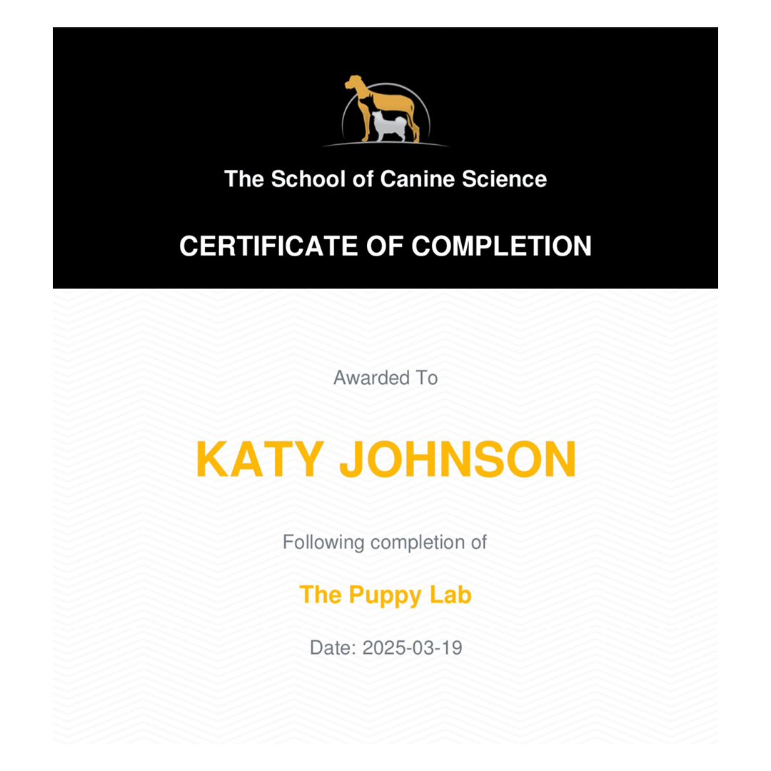 Certificate.png