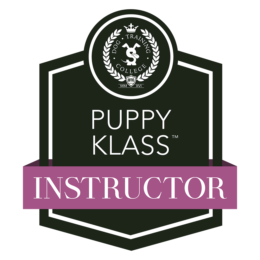 puppy klass.png