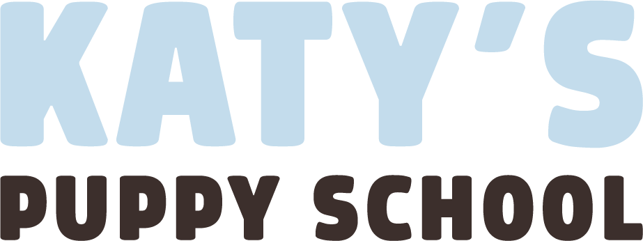 Katy's Puppy School