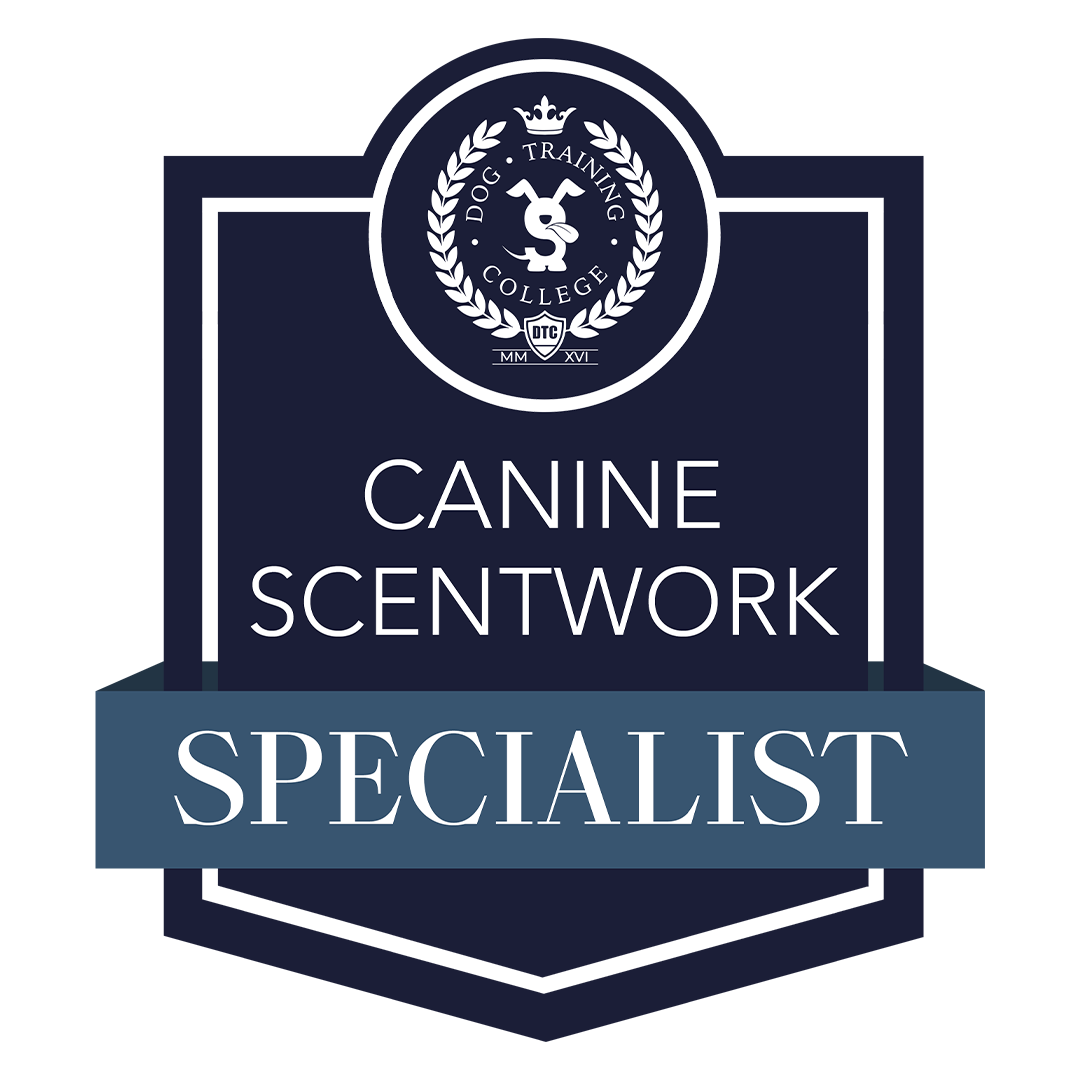 canine scentwork.png